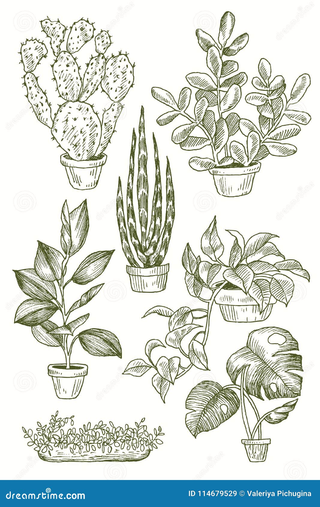 Illustration of Houseplants, Indoor and Office Plants in Pot. Set of