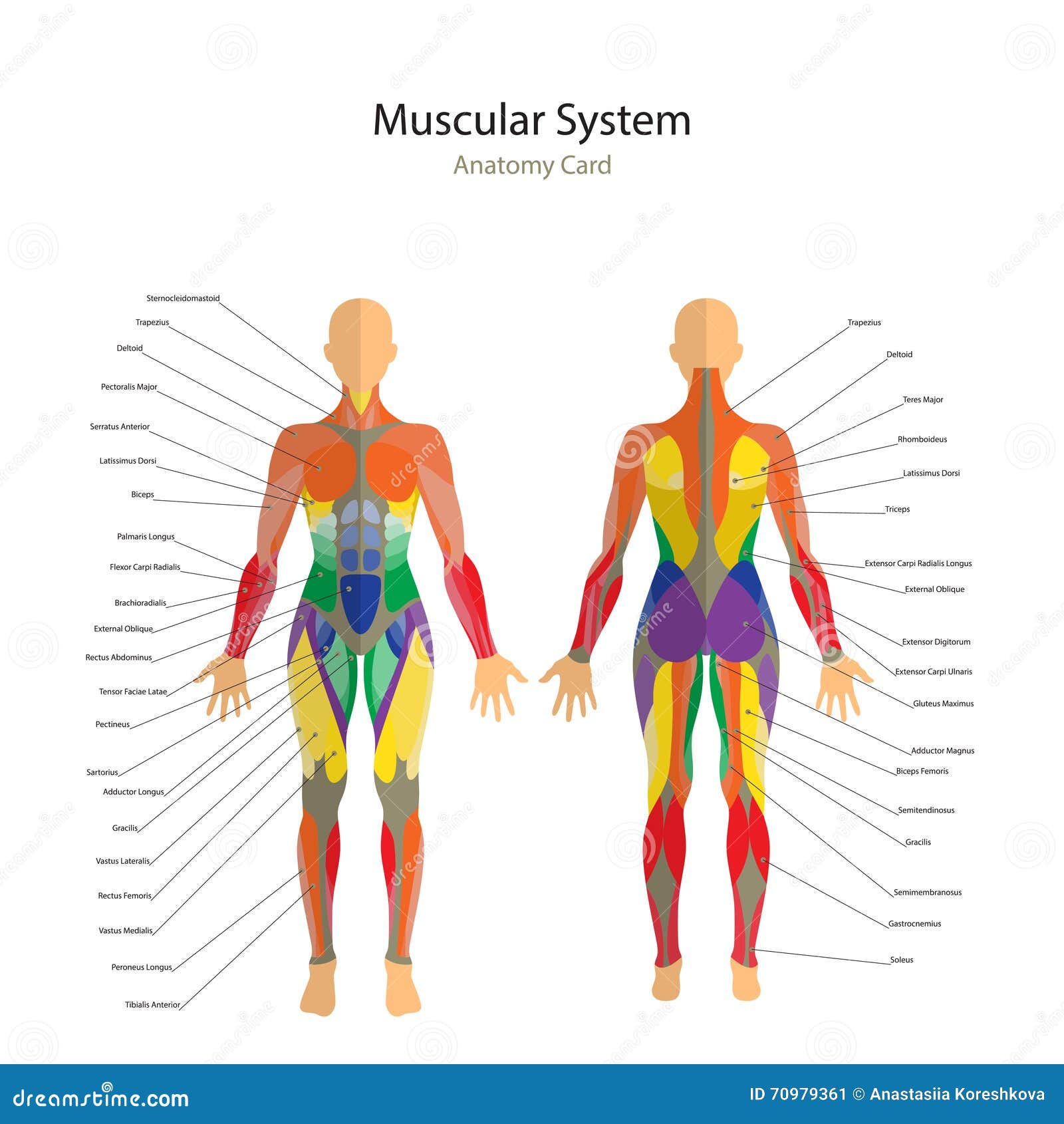 download a mathematical model for handling