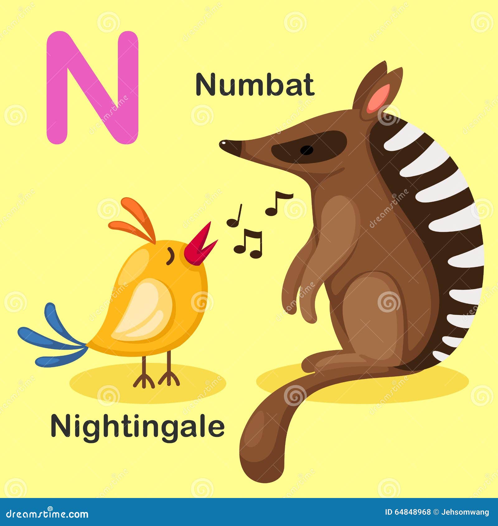 Illustration Isolated Animal Alphabet Letter N-Numbat,Nightingale Stock  Vector - Illustration of english, cute: 64848968