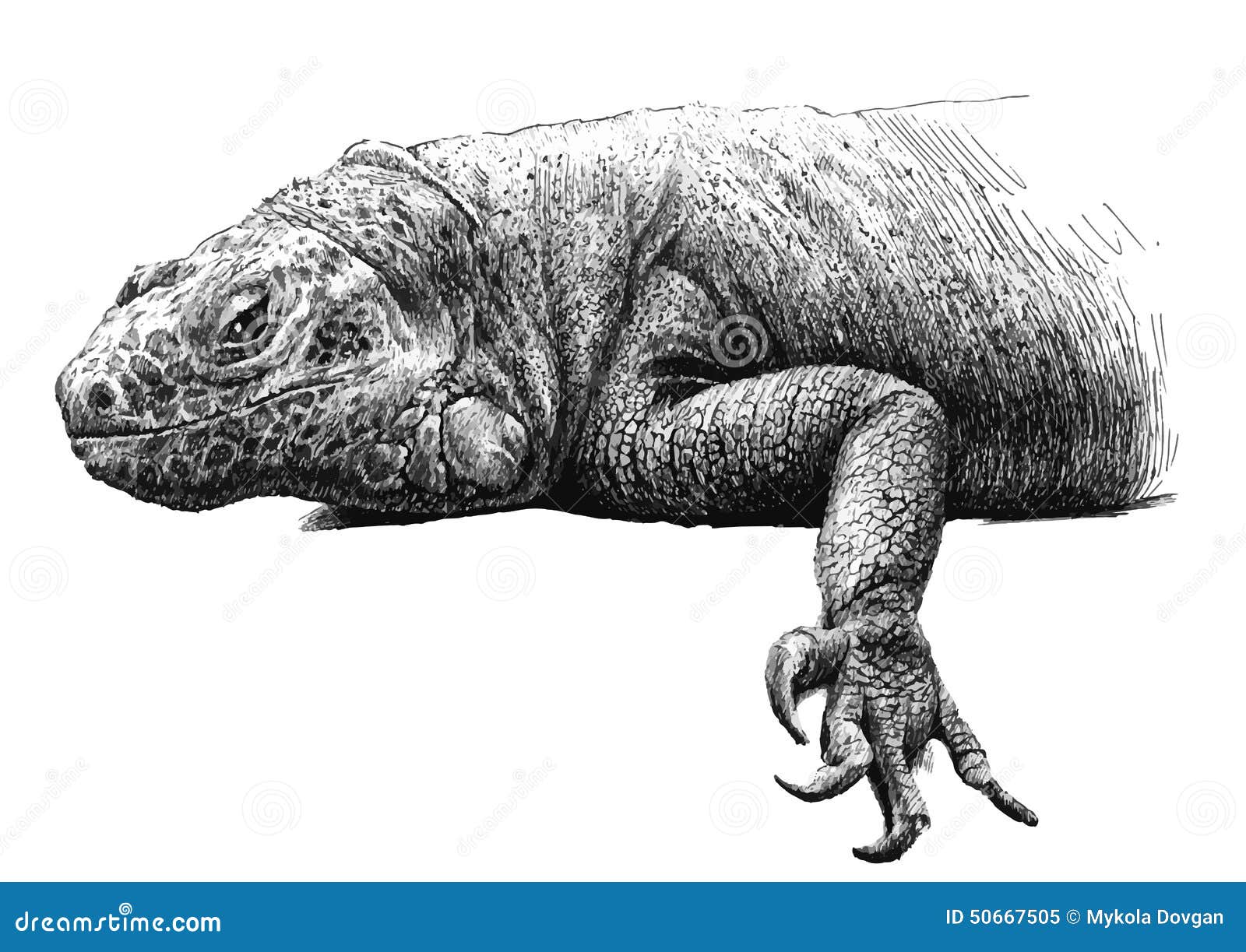 Illustration With A Large Iguana Stock Vector 