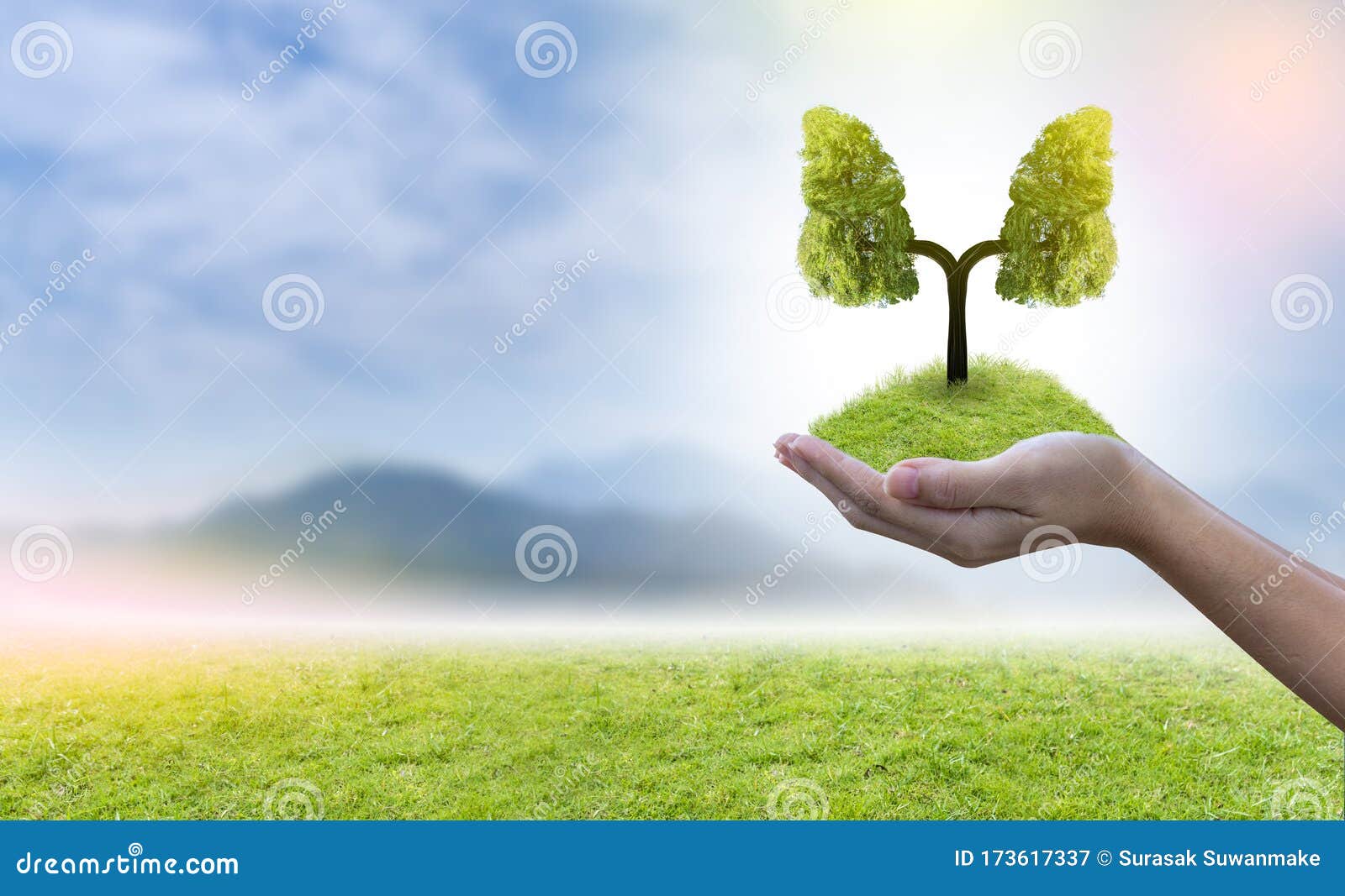 Illustration of Lung Tree Environment and Medicine Stock Image - Image