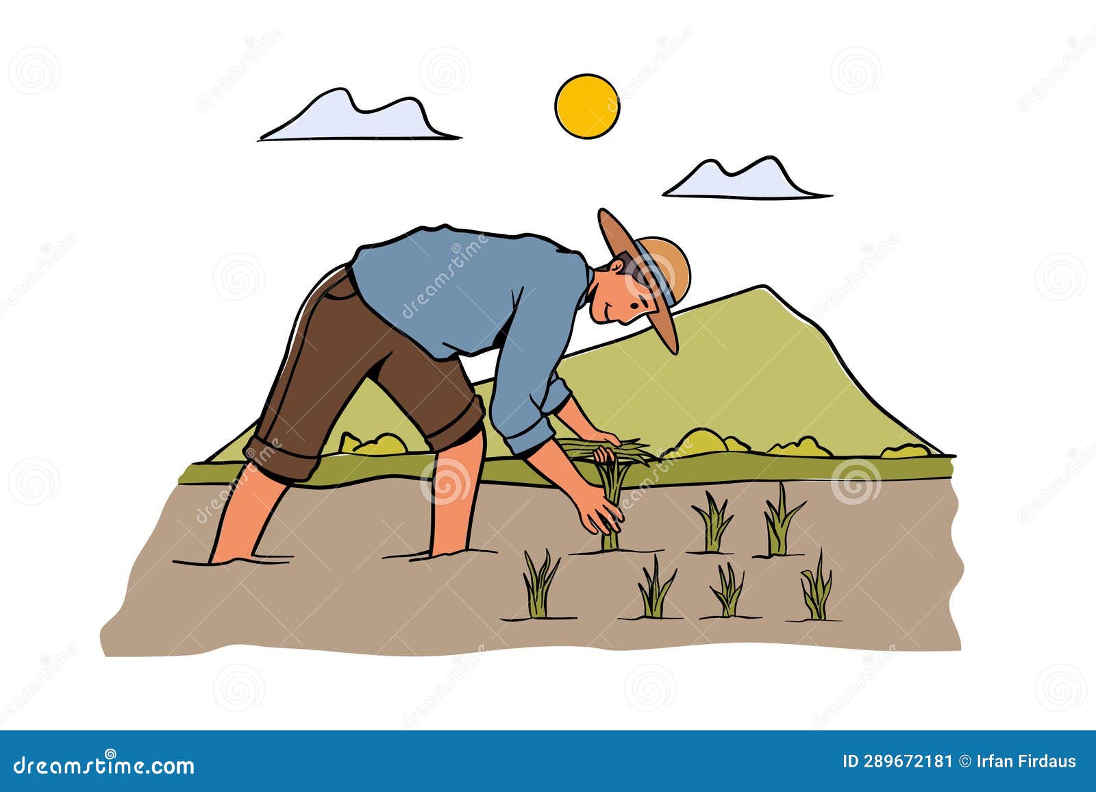 Illustration of Man Planting Rice in a Paddy Field Stock Illustration ...