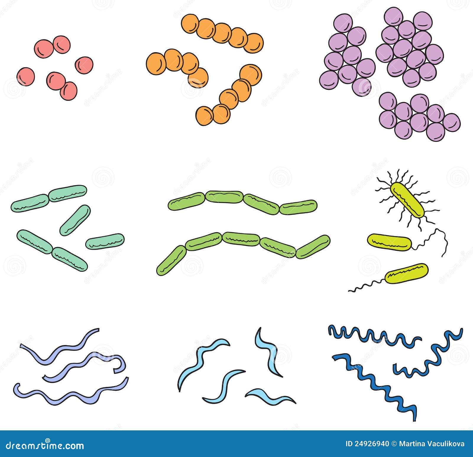 Bacteria Definition Types Benefits Risks Examples 8526 | The Best Porn ...
