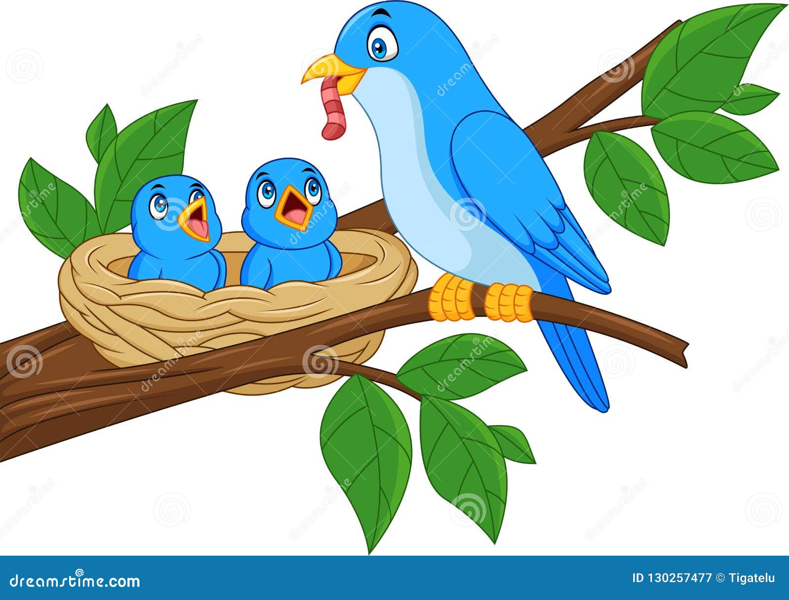 mother blue bird feeding babies in a nest