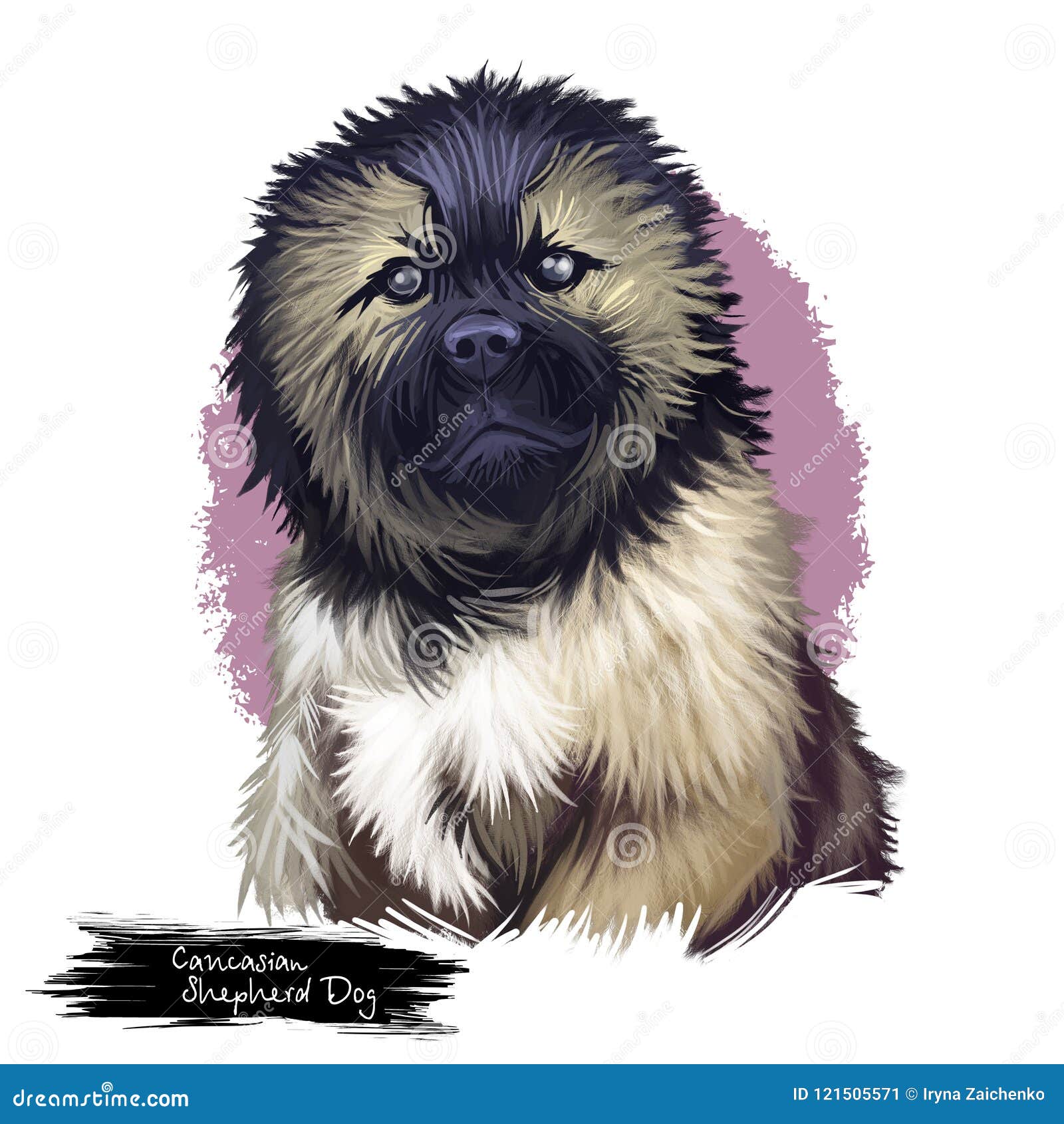 Noms De Chien Russe Ou Dorigine Russe Wouaf Wouaf