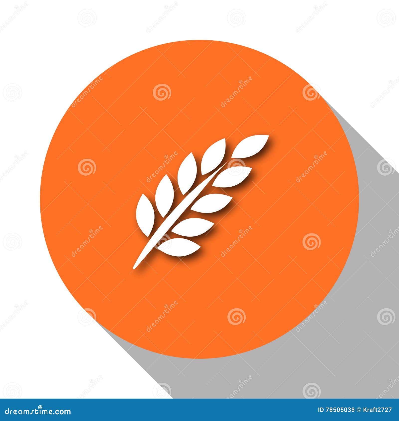 Illustration plant gluten stock vector. Illustration of cooking 78505038