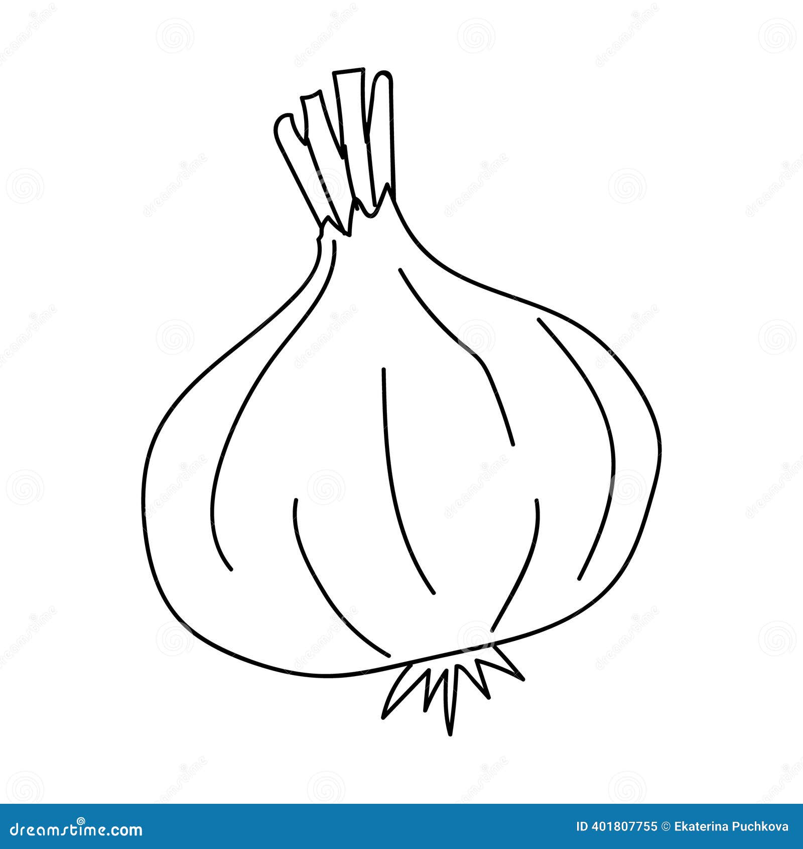 Detailed Outline of an Onion Showcasing Its Layered Structure and Unique  Shape in a Minimalist Style Stock Vector - Illustration of healthy, food:  401807755, image size:1600x1690