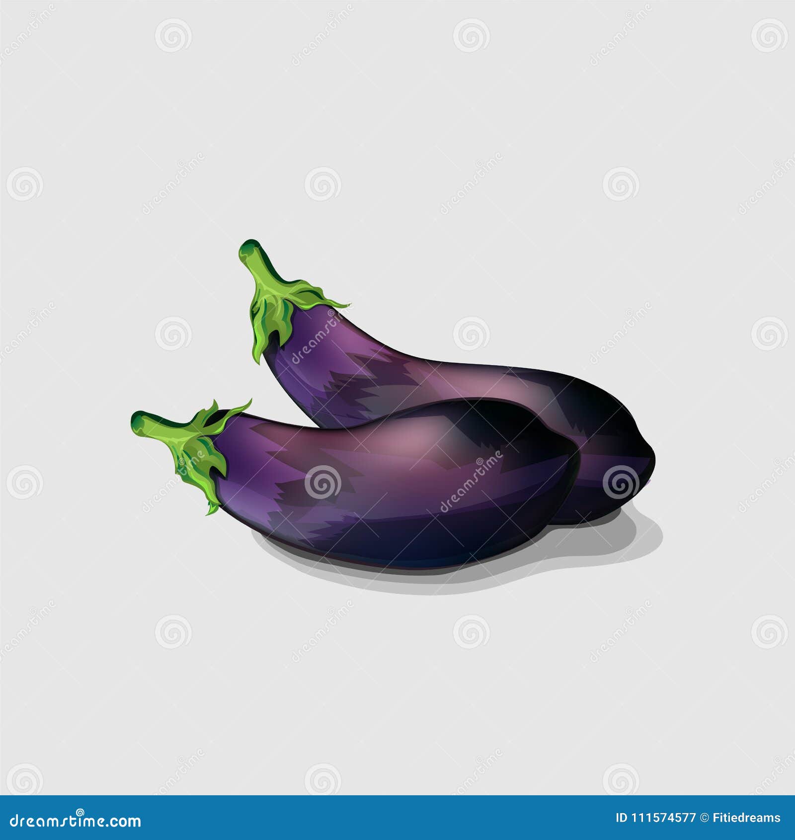 Illustration of Purple Eggplants Stock Vector Illustration of fresh, freshness 111574577