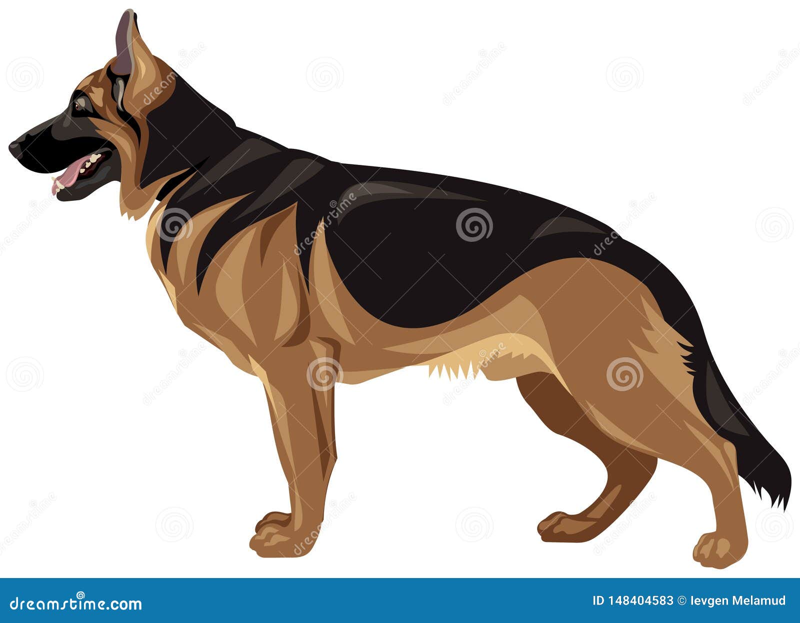 Illustration Réaliste De Vecteur De Couleur De Race De Chien