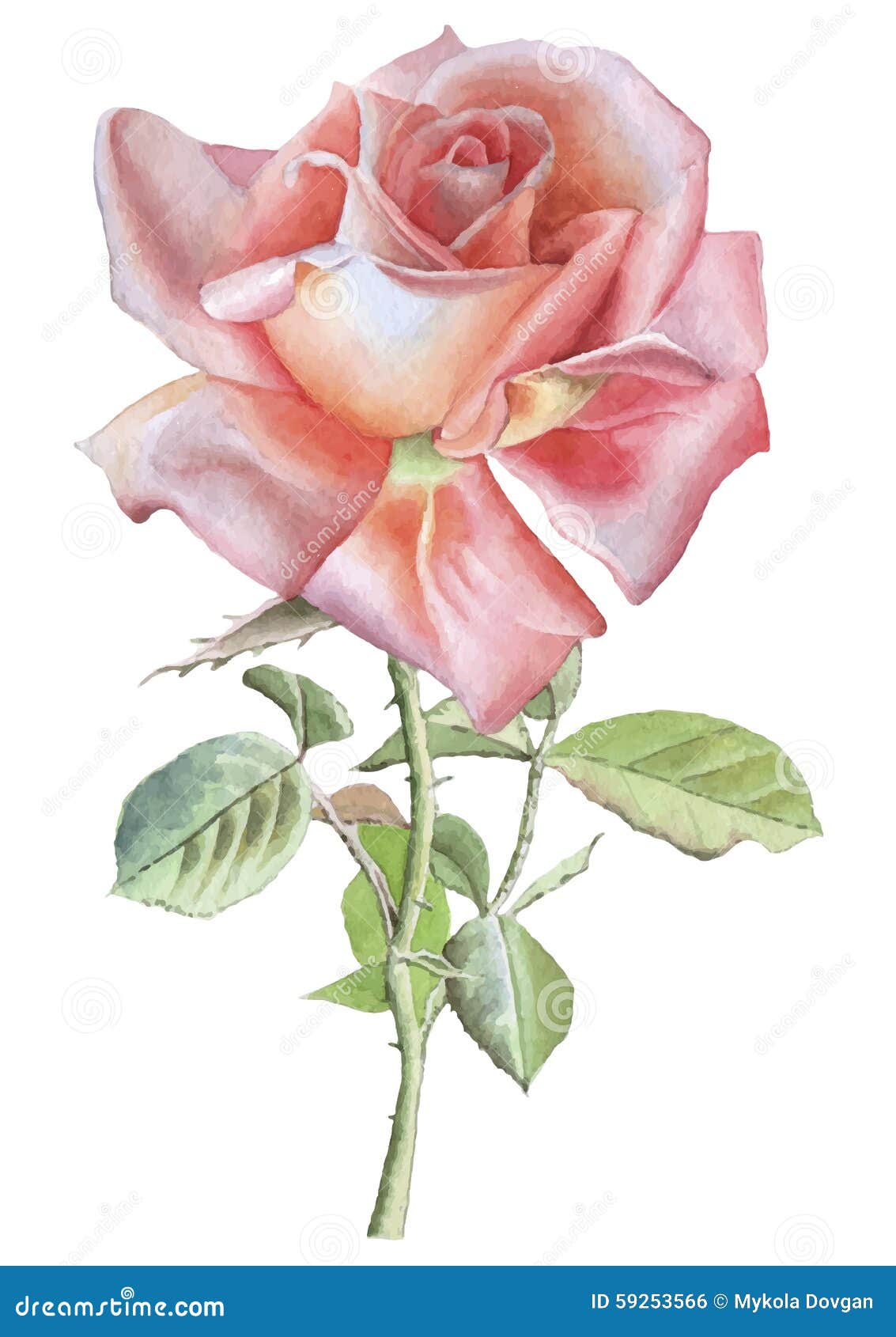 Illustration with Red Realistic Rose. Stock Illustration - Illustration ...