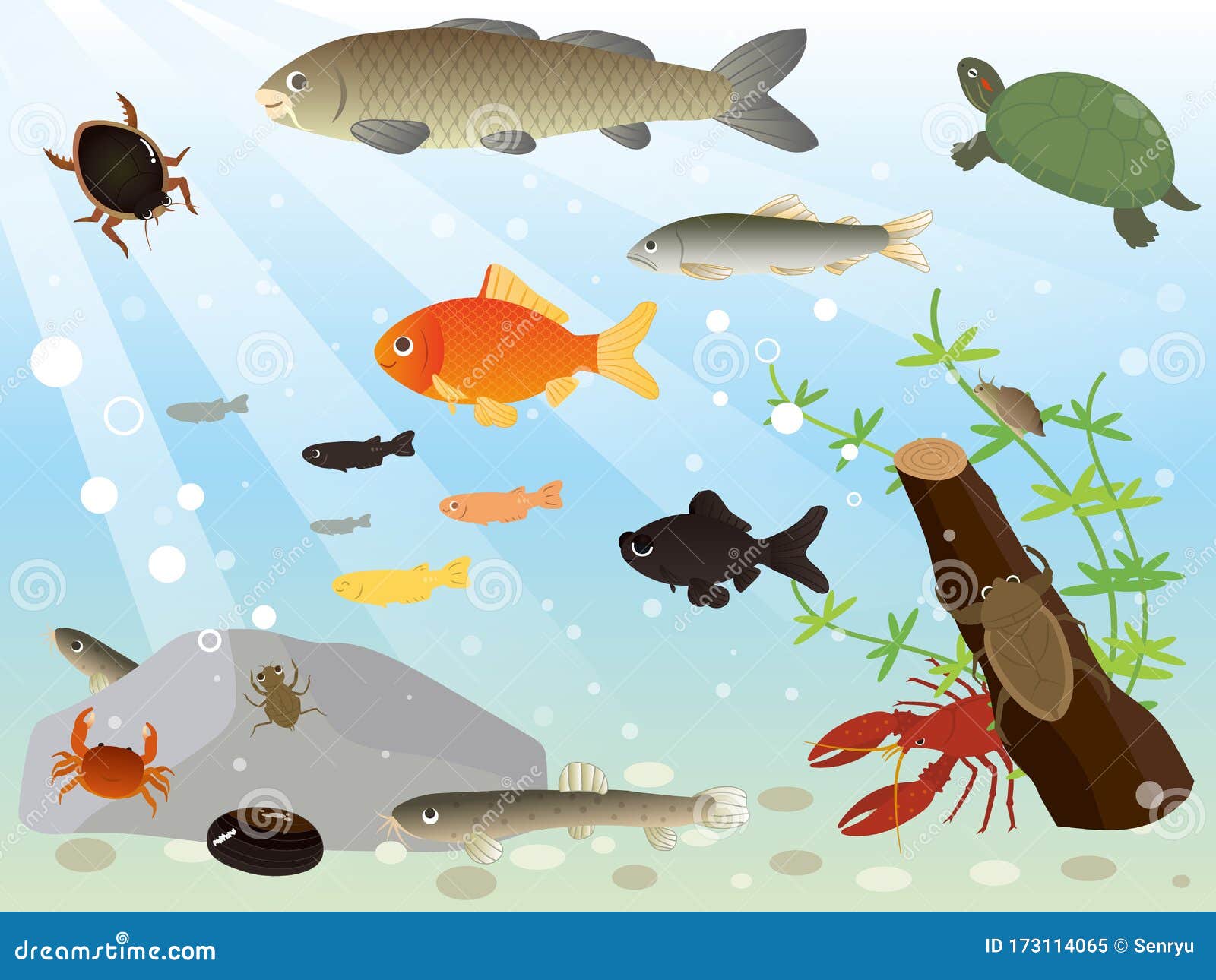 River animals stock vector. Illustration of nature, life 173114065