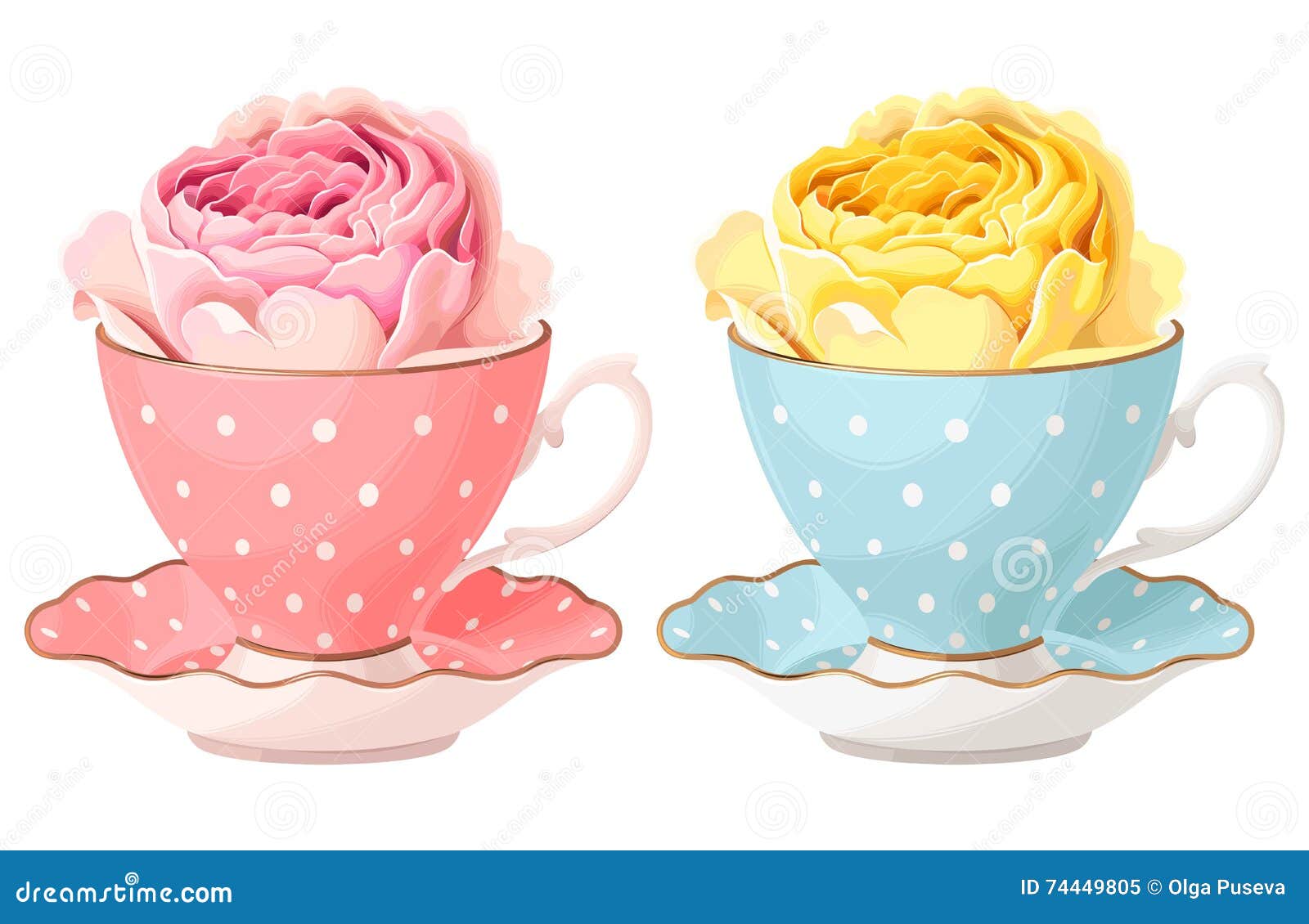  of rose in teacup
