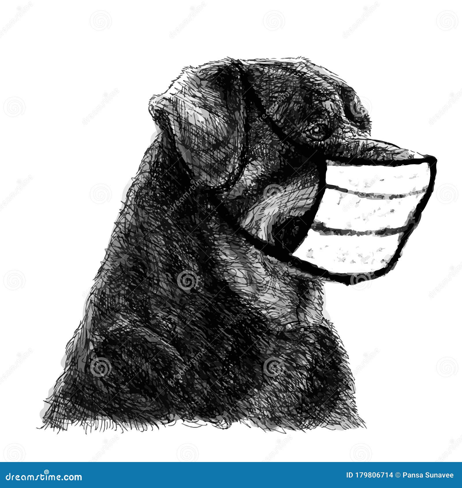 Simple Dog With Mask Drawing Myriam Tillson Sketch for Adult