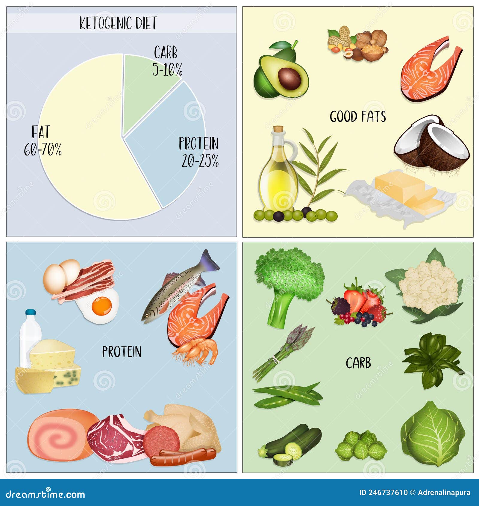 Scheme of the Ketogenic Diet Stock Illustration Illustration of