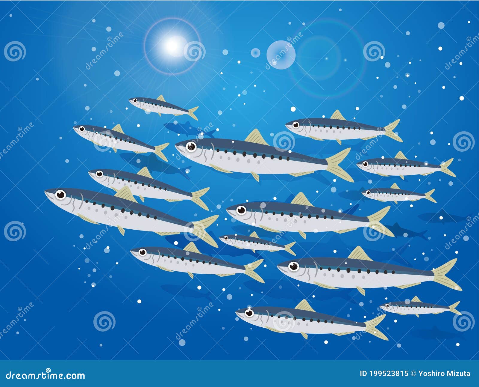 Illustration of a School of Sardines Stock Vector Illustration of