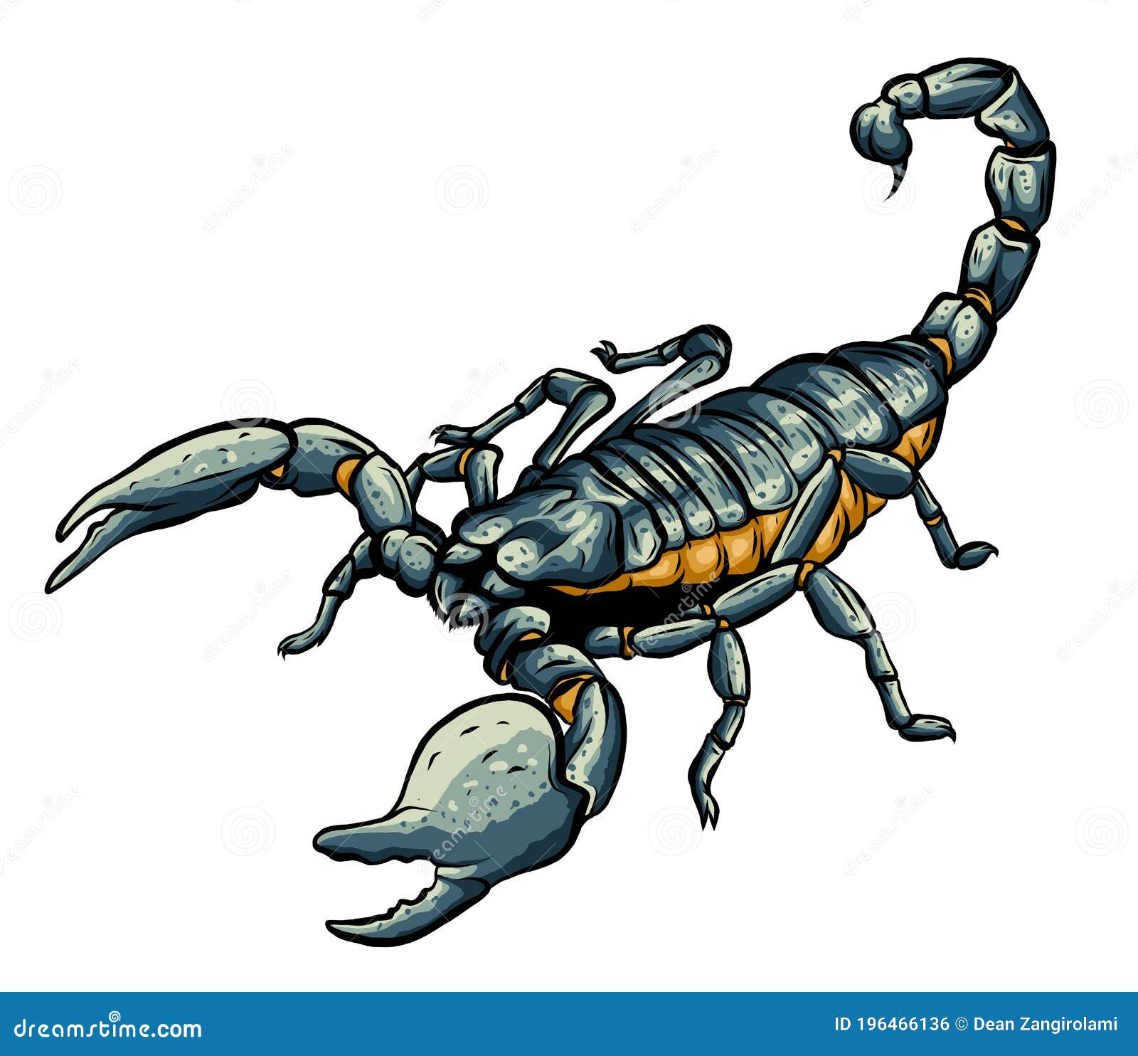  of scorpion arachnid insect.  graphics