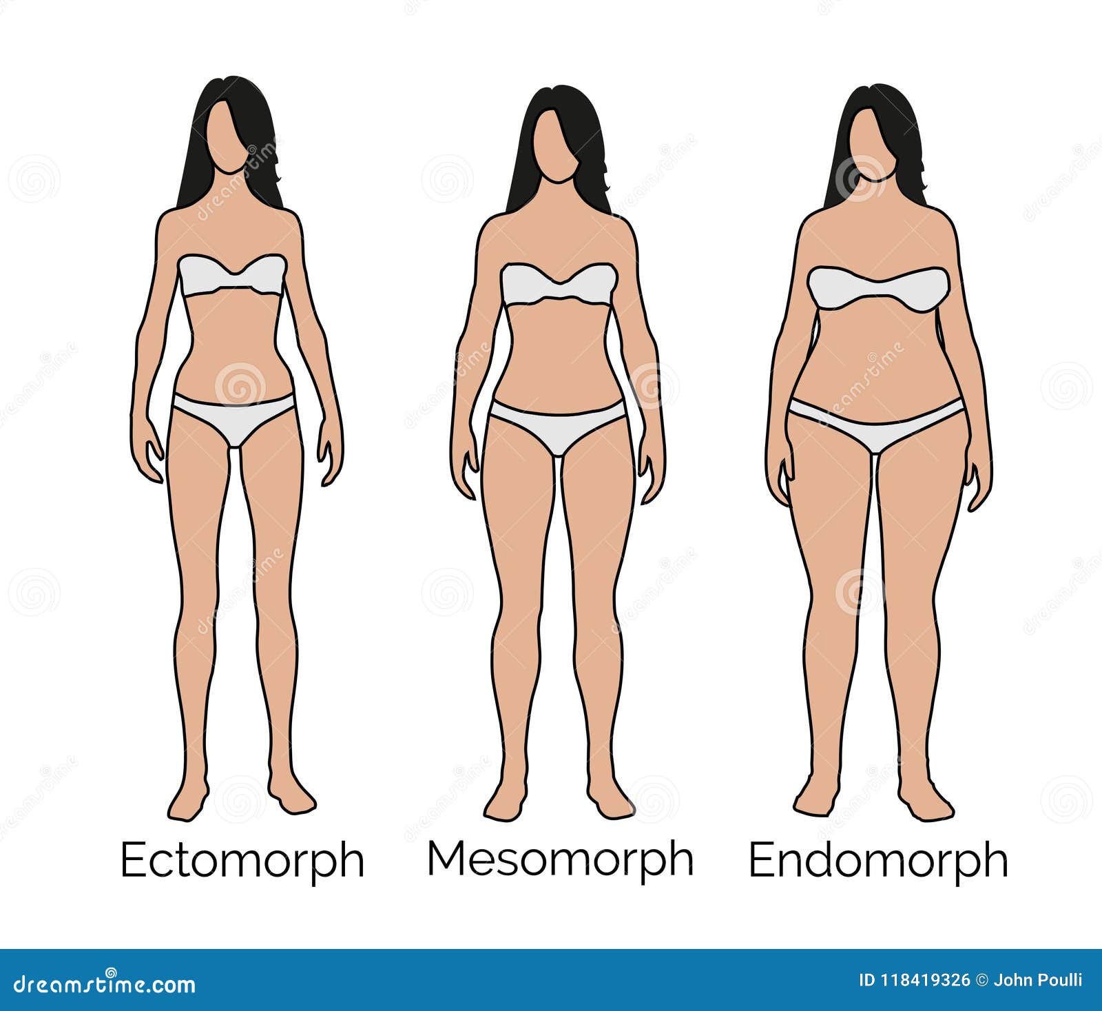 Ectomorph, Mesomorph, Endomorph Female - Small, Medium, Large Body