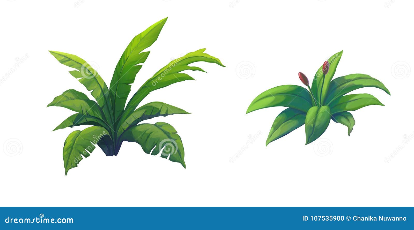 Illustration Shrub for Cartoon Isolated on White Background Stock