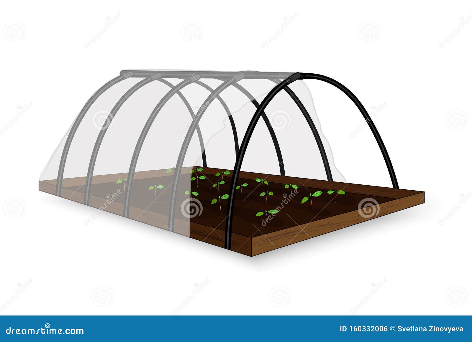 Illustration of a Small Greenhouse, Greenhouse Under the Film for ...