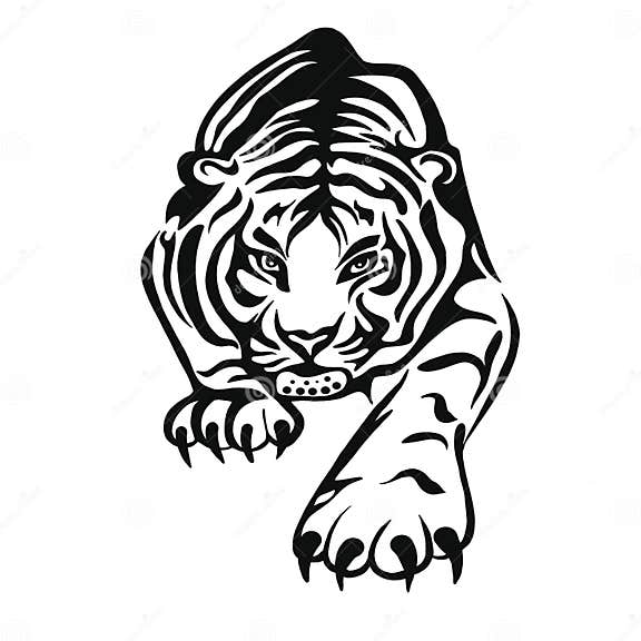 An Illustration of a Tiger or a Wild Cat with Huge Claws and Fangs. a ...