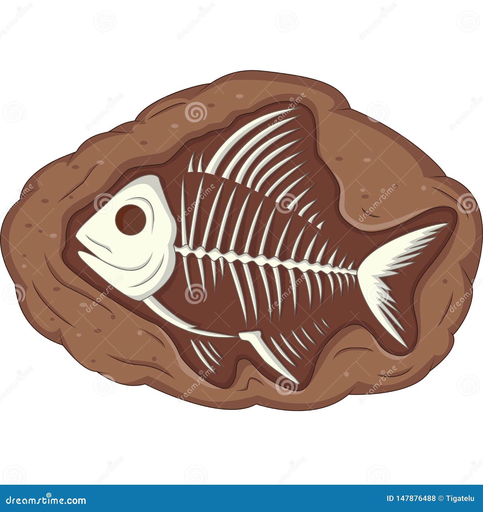 Underground fish fossil stock vector. Illustration of dead - 147876488