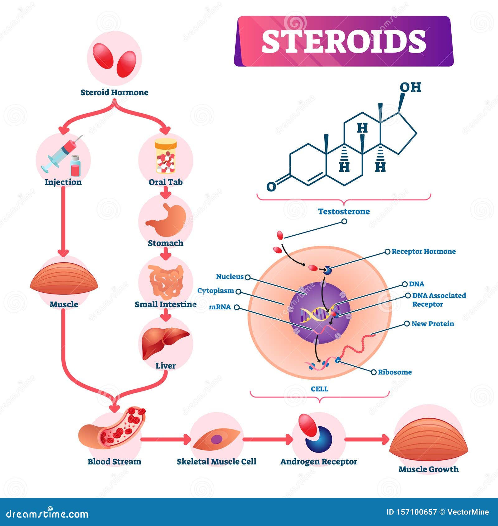 exemple de cure steroide prise de masse Stats: These Numbers Are Real