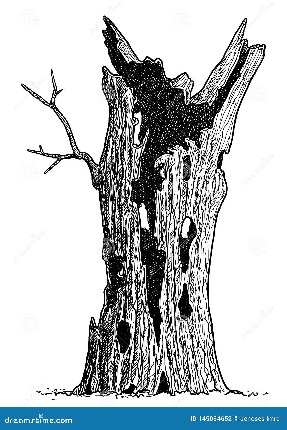 creepy dead tree sketch