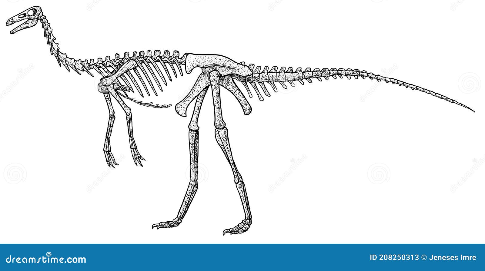 Dinosaur Run Fast Stock Illustrations – 67 Dinosaur Run Fast Stock  Illustrations, Vectors & Clipart - Dreamstime