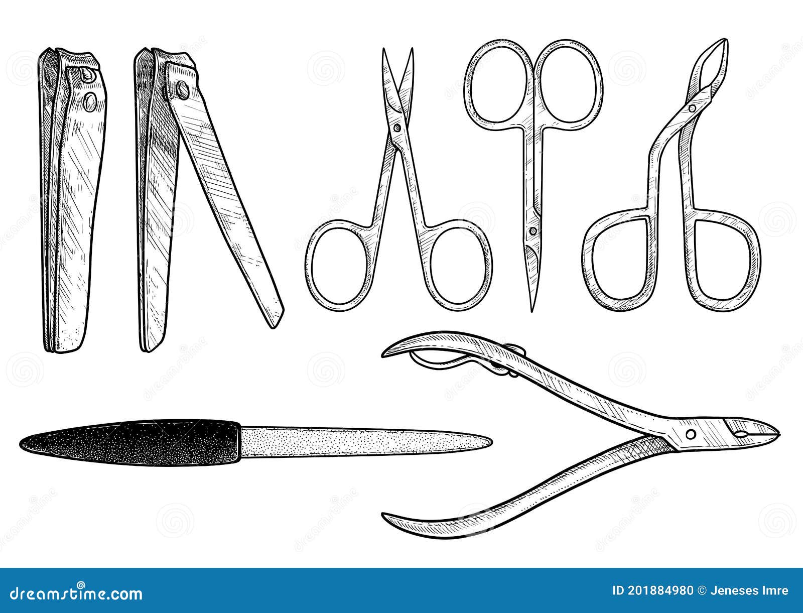 Scissors illustration, drawing, engraving, ink, line art, vector