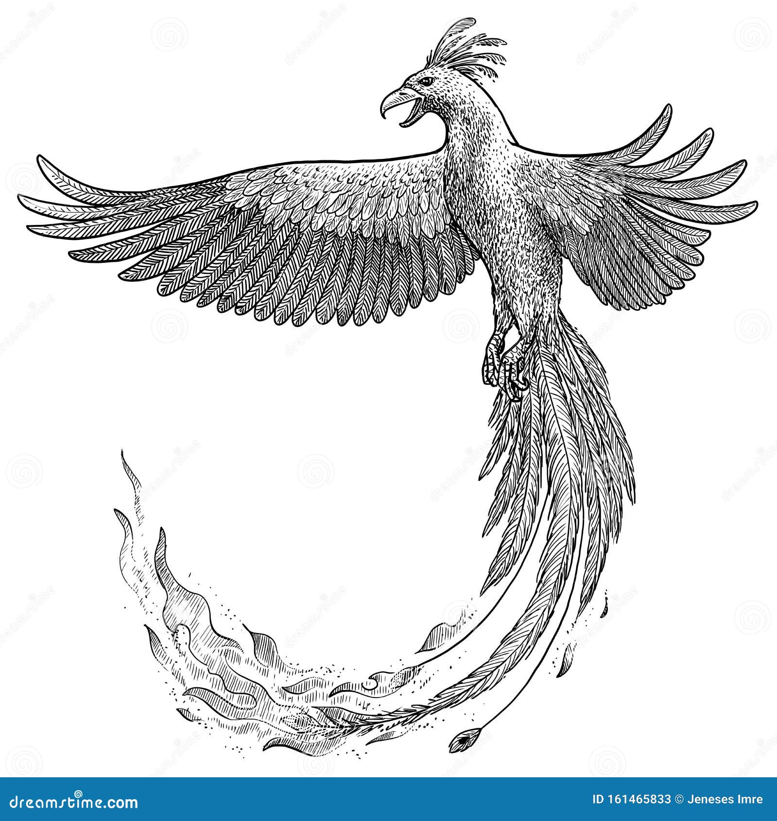 How to Draw a Phoenix with WaterSoluble Graphite Pencils