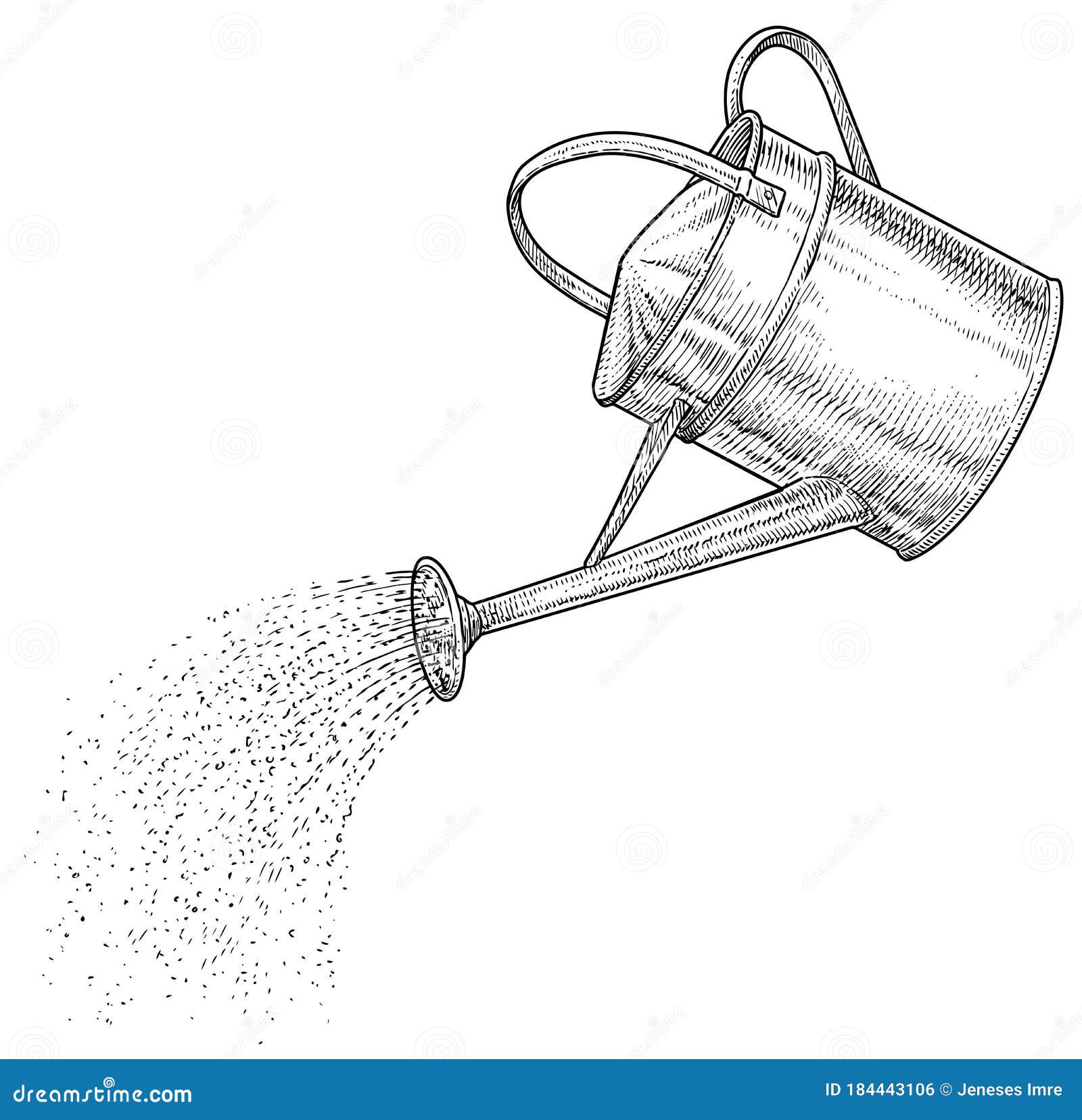 Watering Can Illustration Drawing Engraving Ink Line Art Vector Stock Vector Illustration