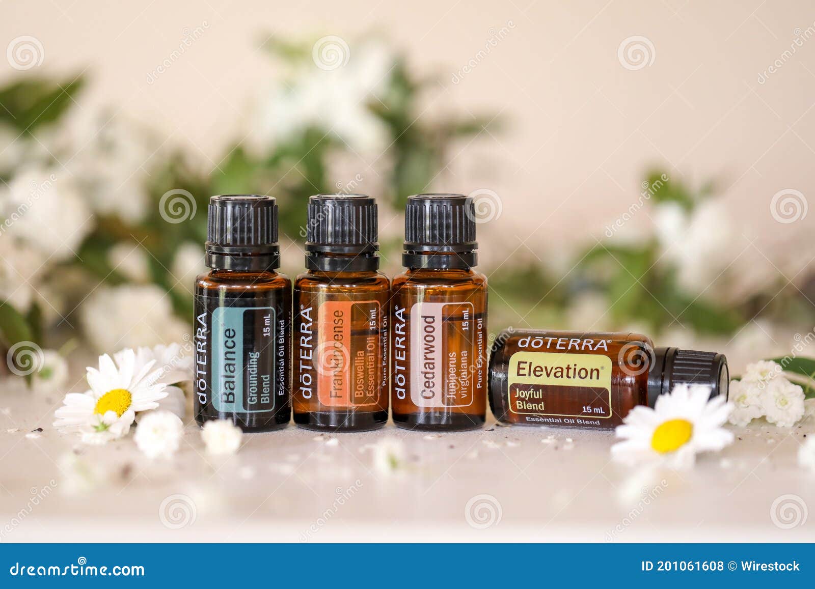 Doterra Essential Oils in Natural Setting Editorial Stock Photo - Image of  essence, bottles: 201061608