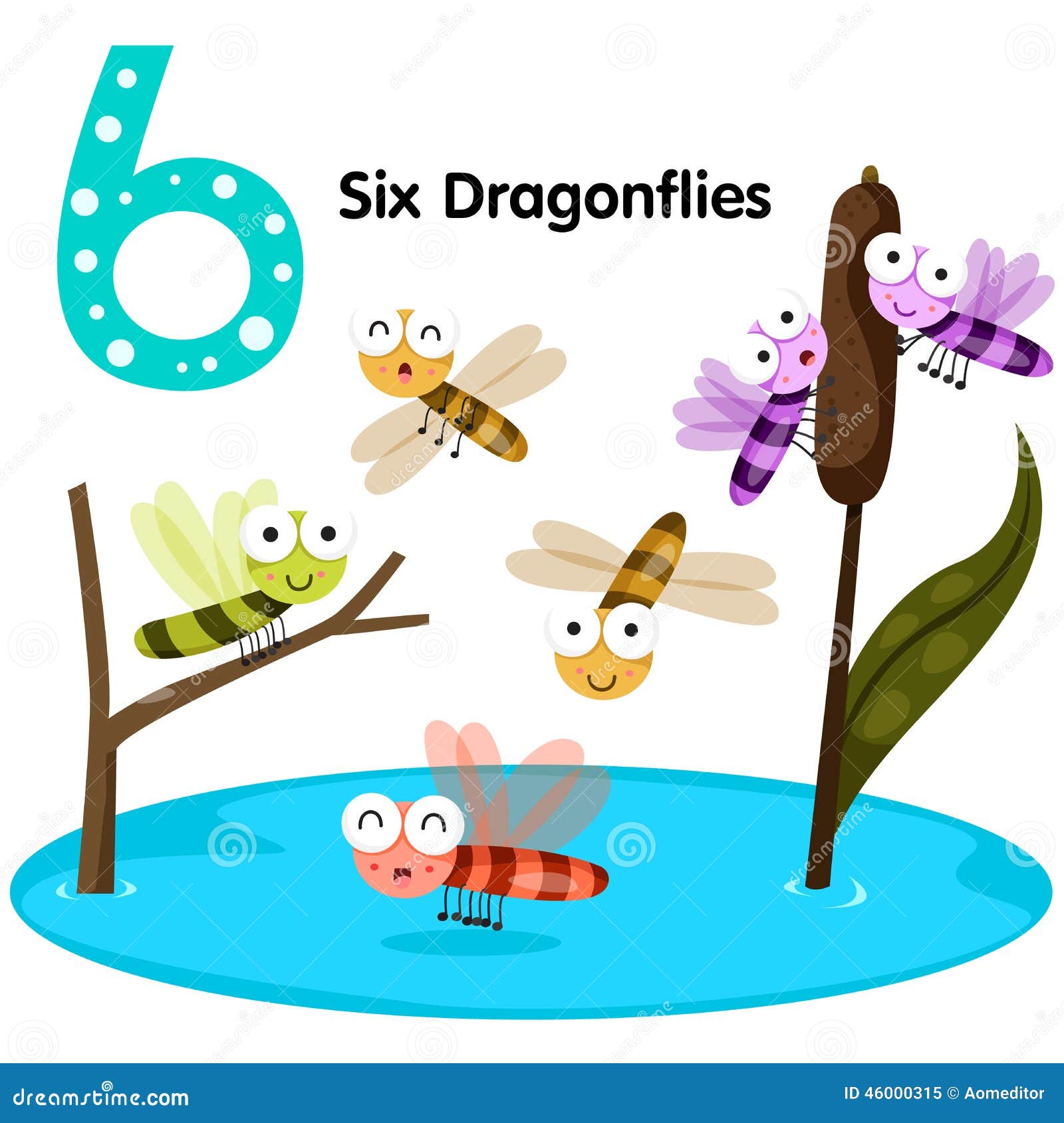 illustrator of number six dragonfly