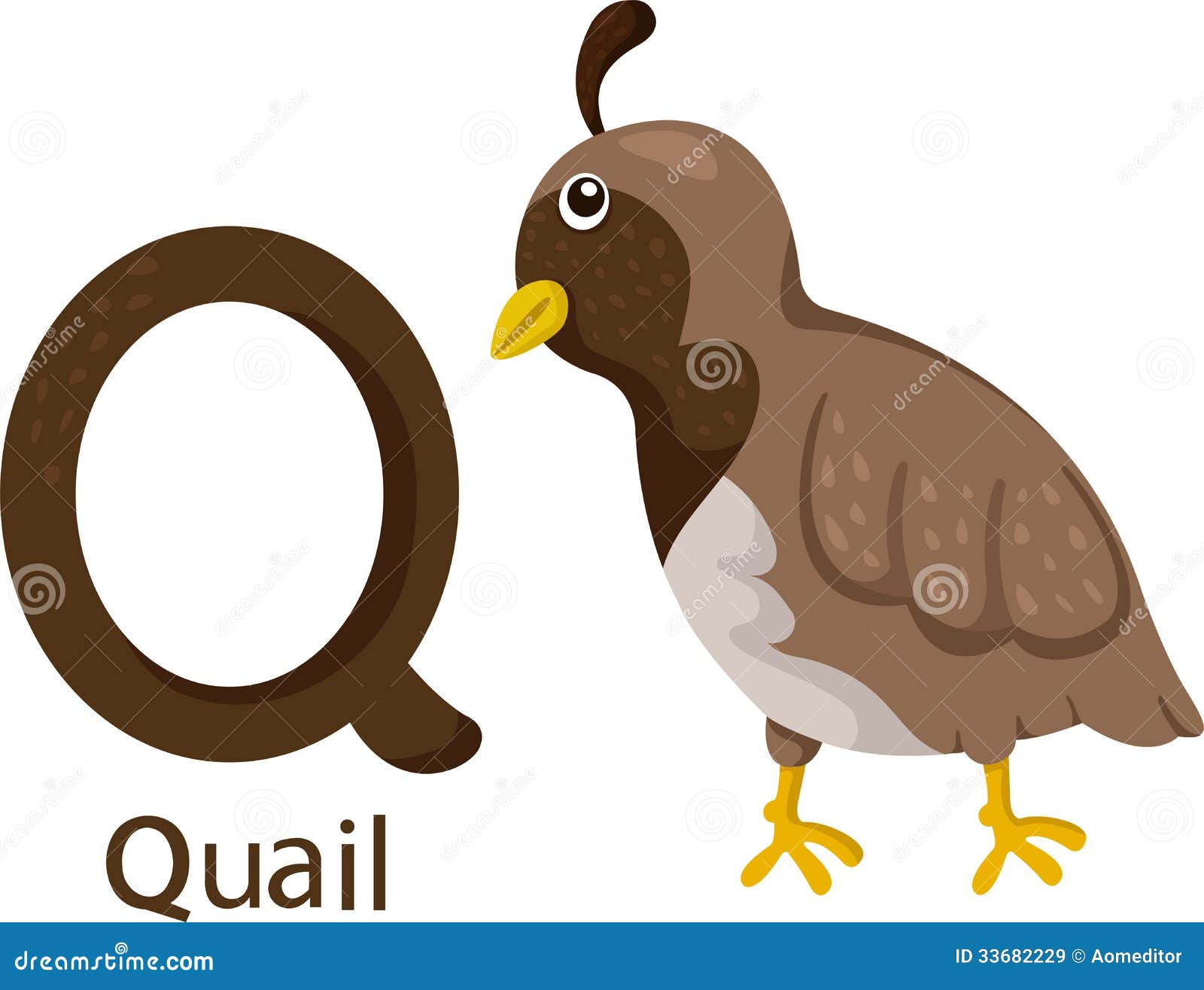 clipart of quail - photo #47