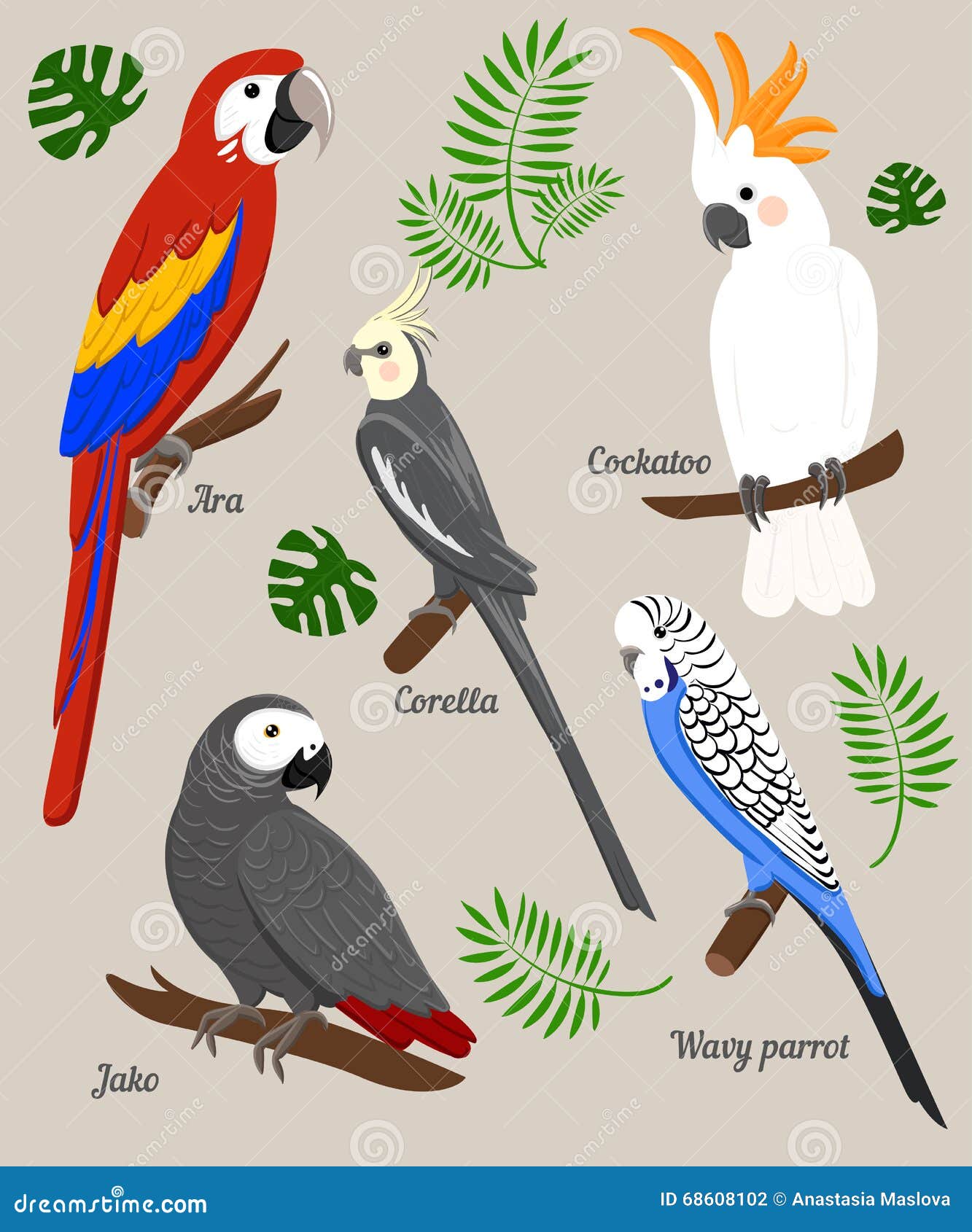 Illustrazione di vettore del fumetto dei pappagalli Uccelli esotici stabiliti del pappagallo Disegno isolato Libera da Diritti