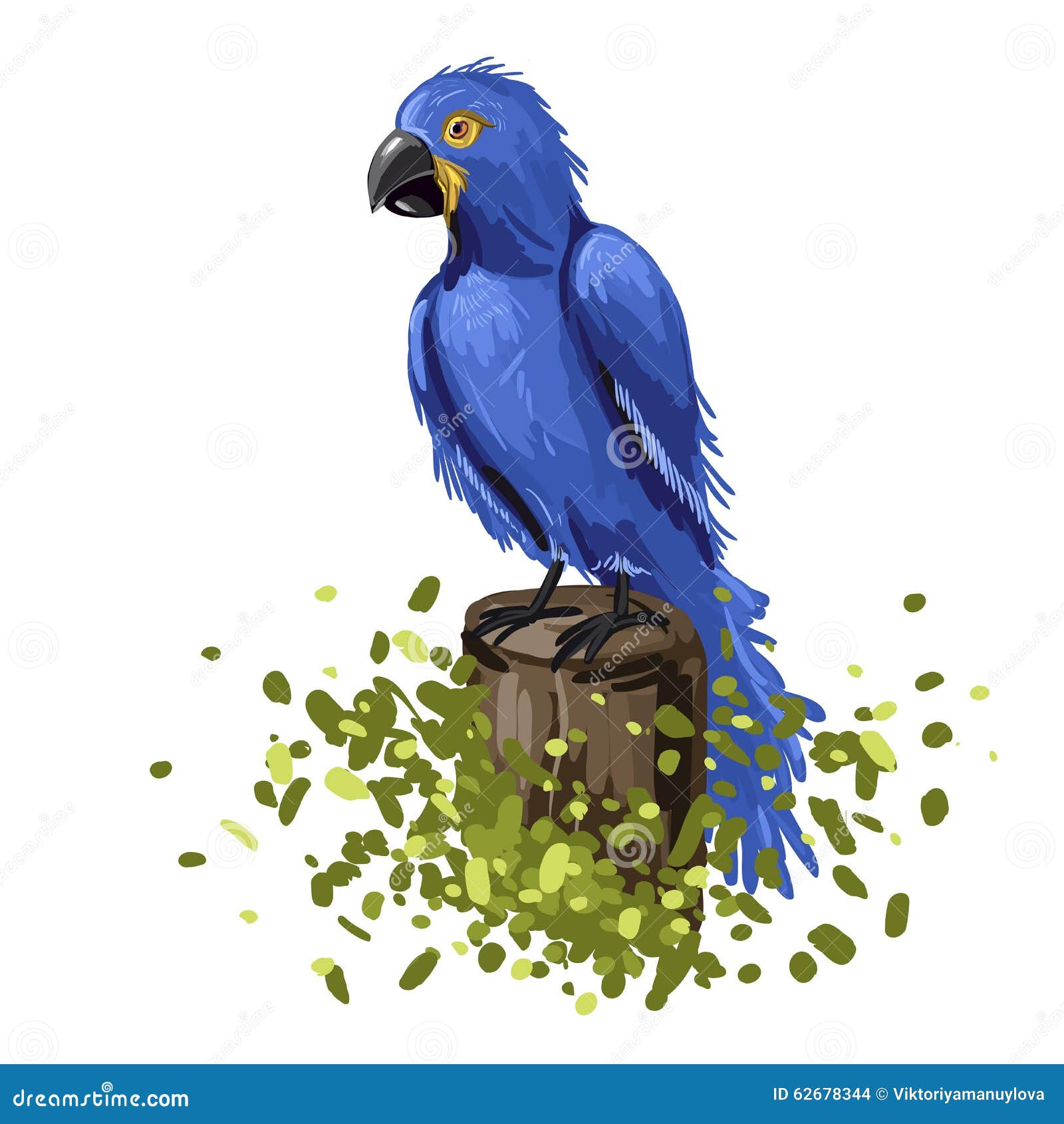 Illustrazione di vettore dell ara blu del pappagallo A mano disegno variopinto Libera da Diritti
