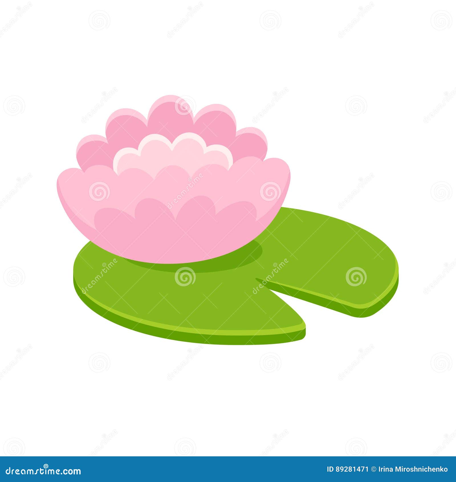 Illustrazione rosa della ninfea Immagine Stock
