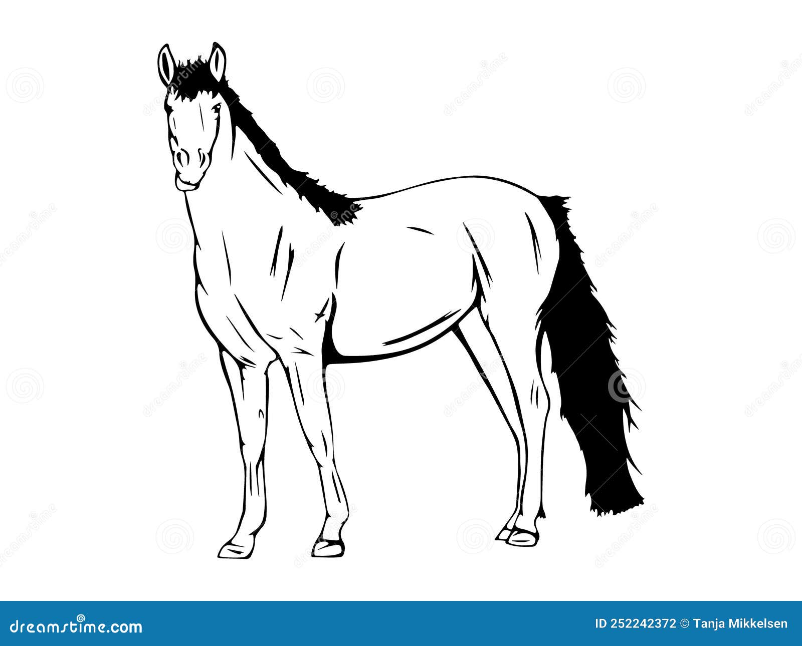 Arte Curiosa Da Linha De Cavalo Ilustração do Vetor - Ilustração de  logotipo, branco: 252242372