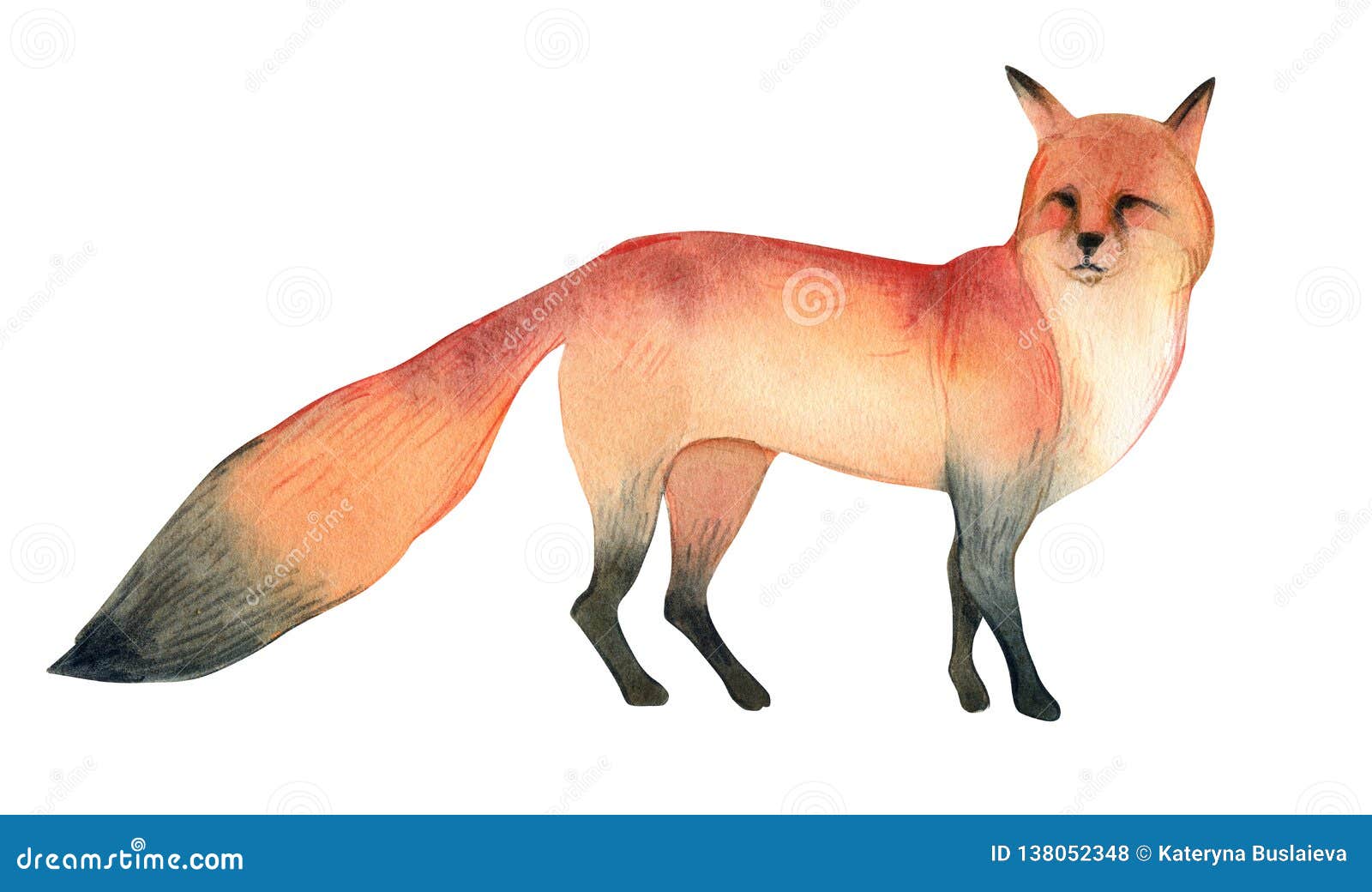 Fennec Bonito Dos Desenhos Animados Raposa Pequena Vermelha Bonito