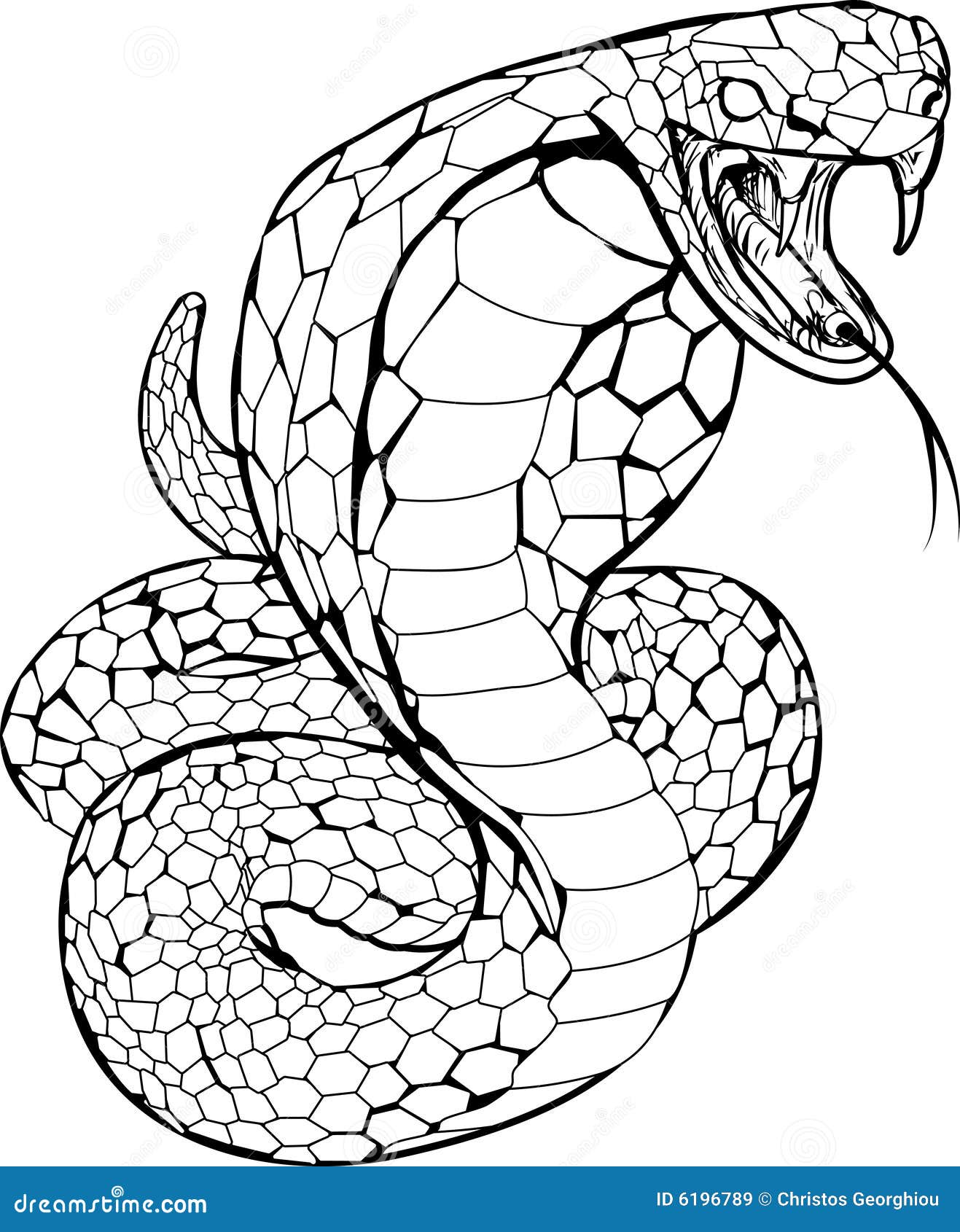 23,989 Ilustrações de Serpente