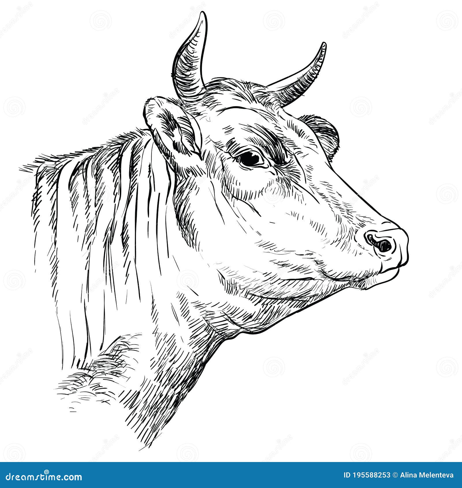Ilustração De Cor D'água Do Touro Da Vaca De Desenho Animado Fofo. Símbolo  Zodíaco Engraçado Desenhado à Mão De 2021 Novo Ano. Des Ilustração Stock -  Ilustração de cartoon, chinês: 193738530
