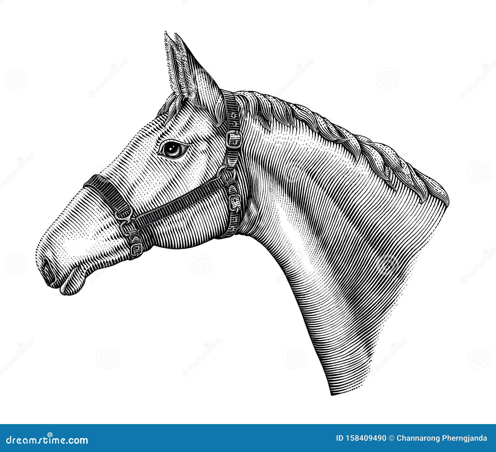 Desenho de cavalo bonito pulando