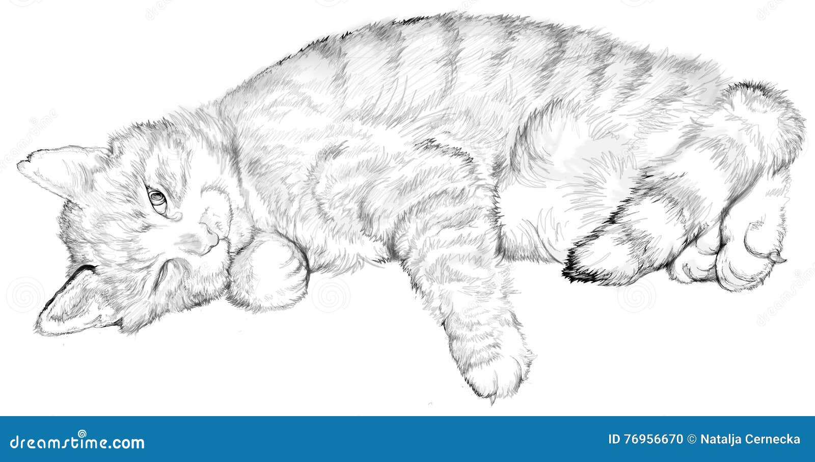 Desenho De à Mão Um Gato Adormecido Pode Ser Usado Para Aprender A