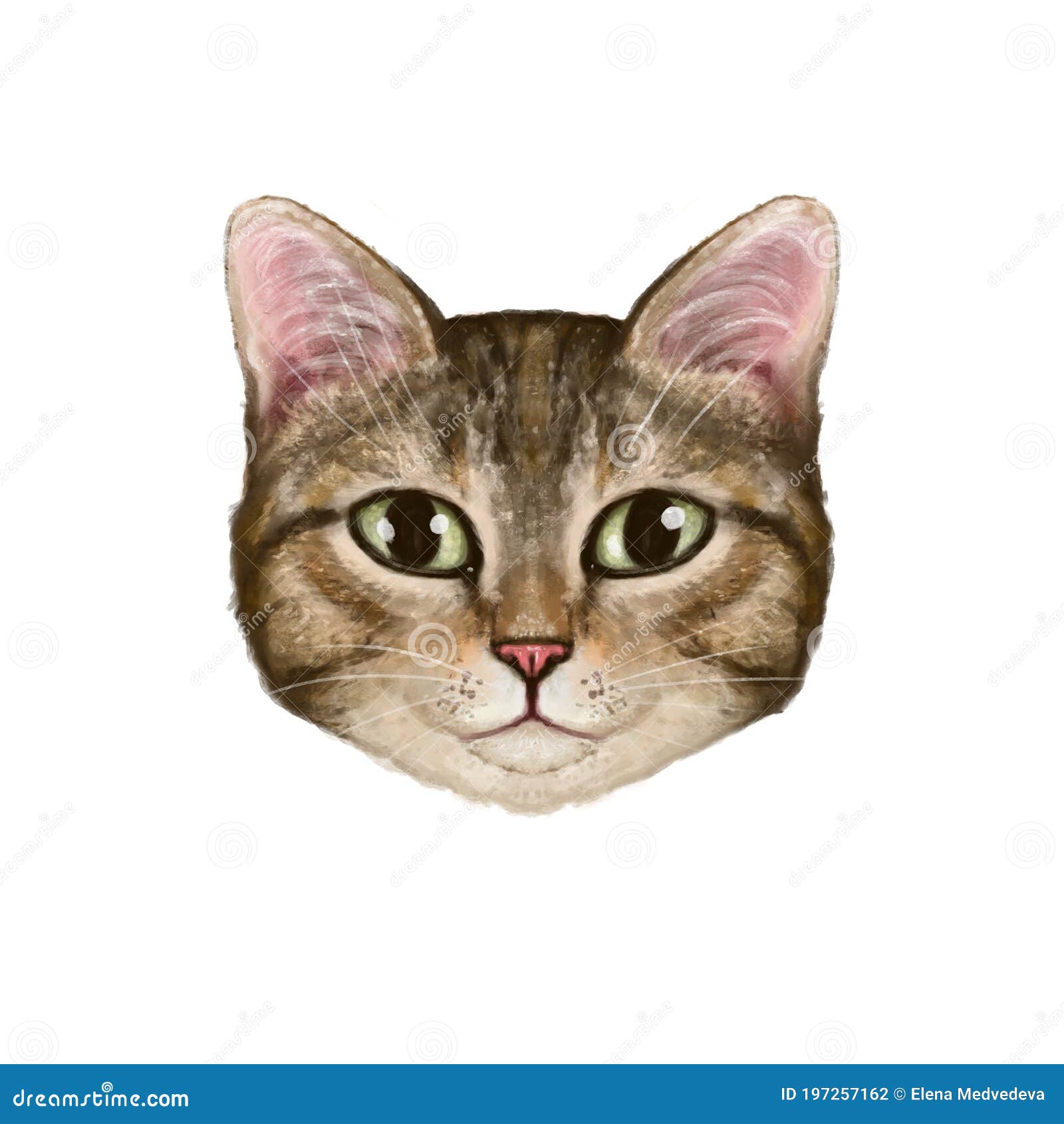 Bela imagem de ilustrações de gato realista