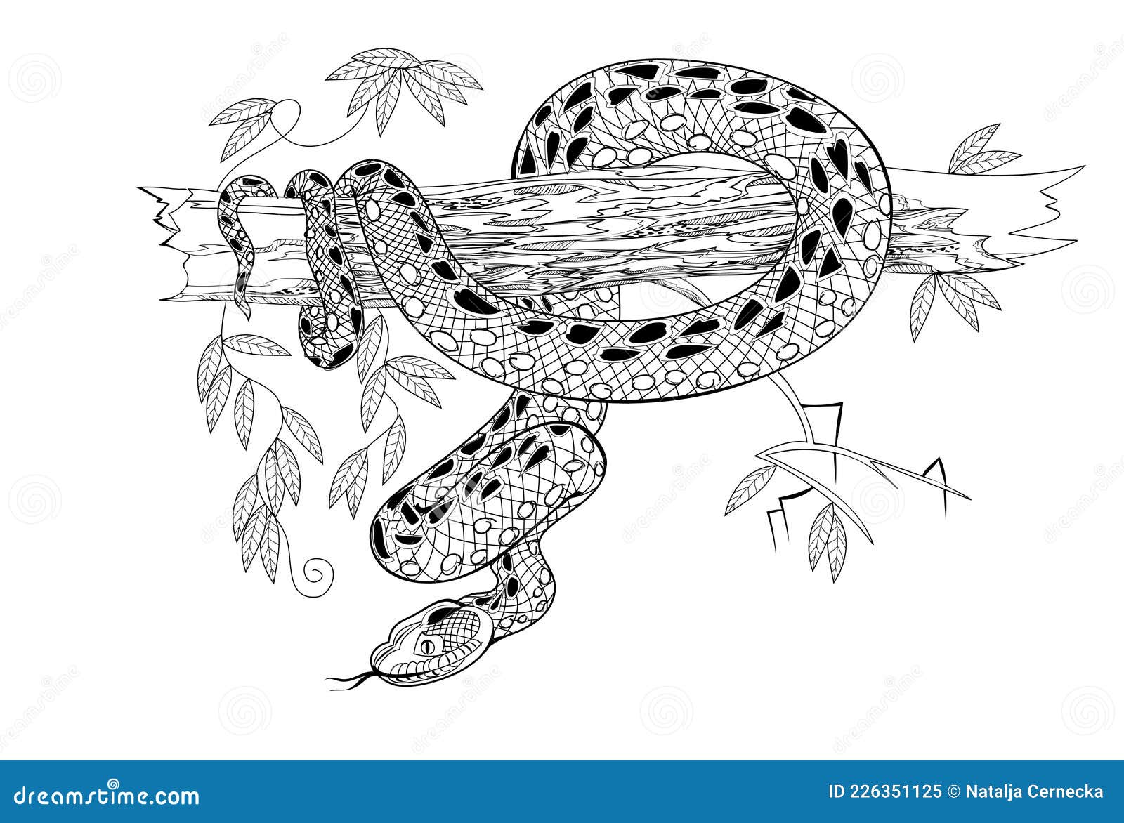 Vetores de Desenho De Cobra Cobra Esboço De Mão De Réptil Selvagem e mais  imagens de Colorindo - iStock