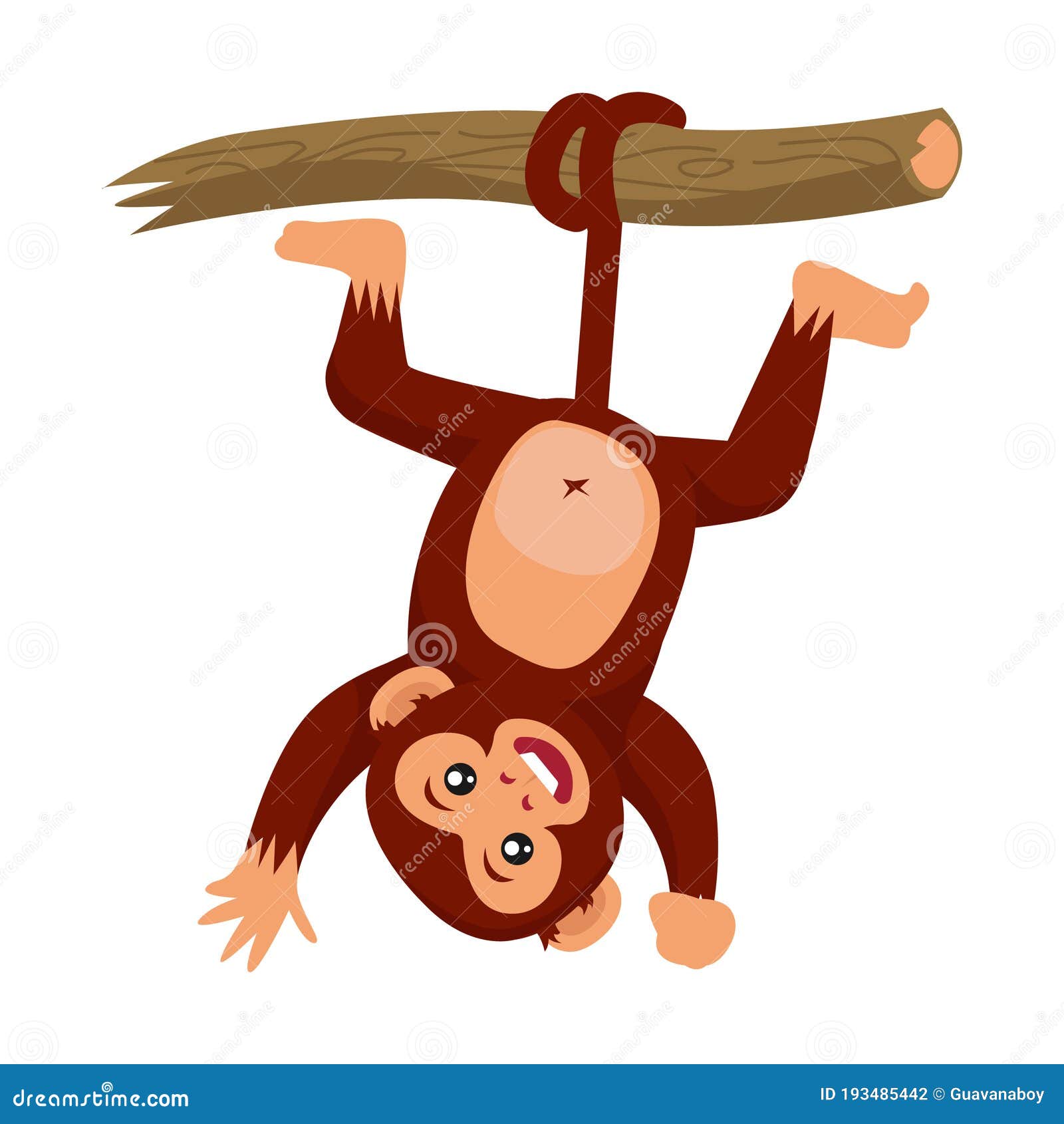 Personagem de macaco de desenho animado bonito, vetor isolado