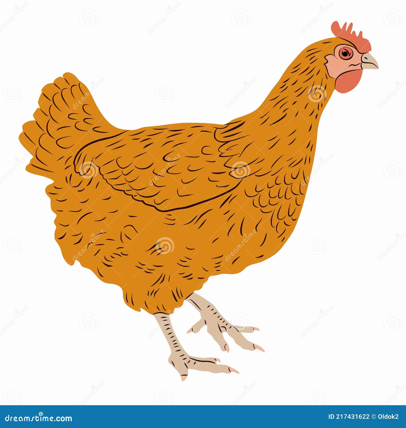 Desenho contínuo de uma linha de galinha de galinha design de vetor de arte  de linha simples de galinha fêmea abstrata