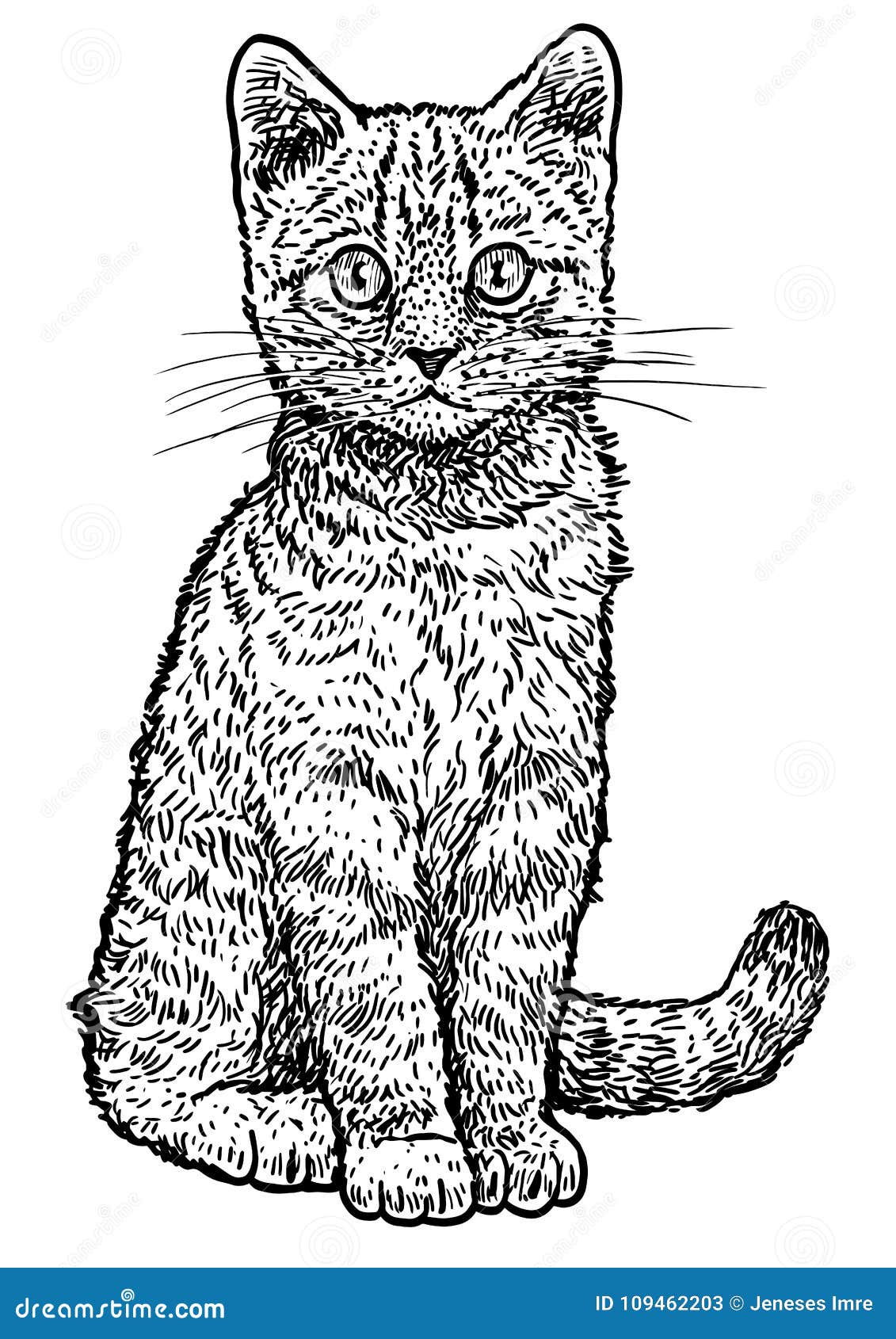 Gato malhado fofo ou animal de desenho de gatinho