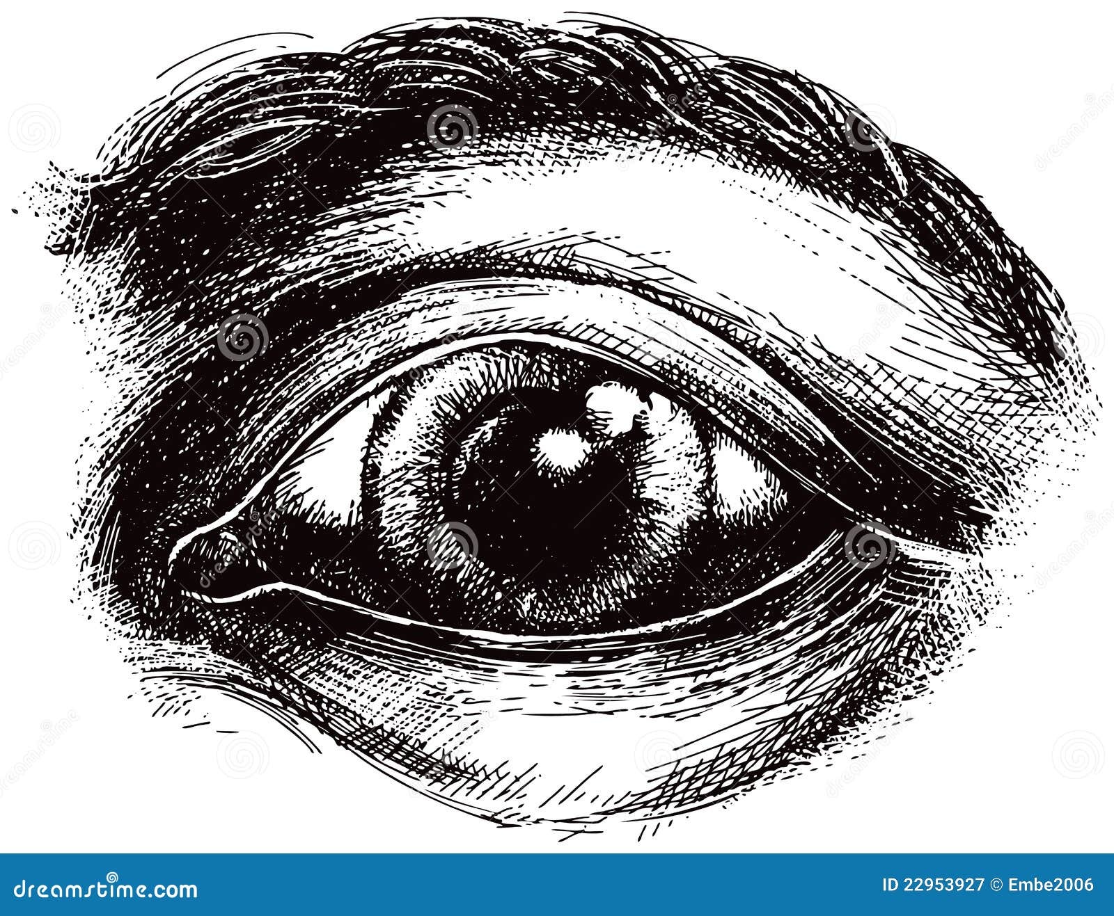 Ilustração de um olho ilustração do vetor. Ilustração de olhar - 22953927, image size:1600x1317