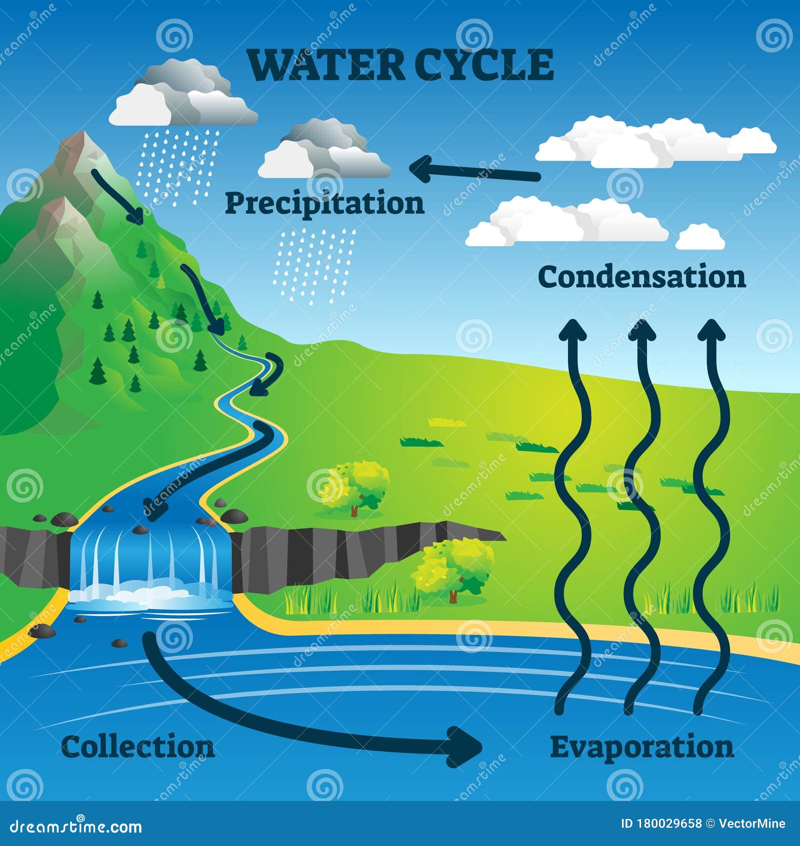 O Ciclo d'água, The water cycle, Portuguese